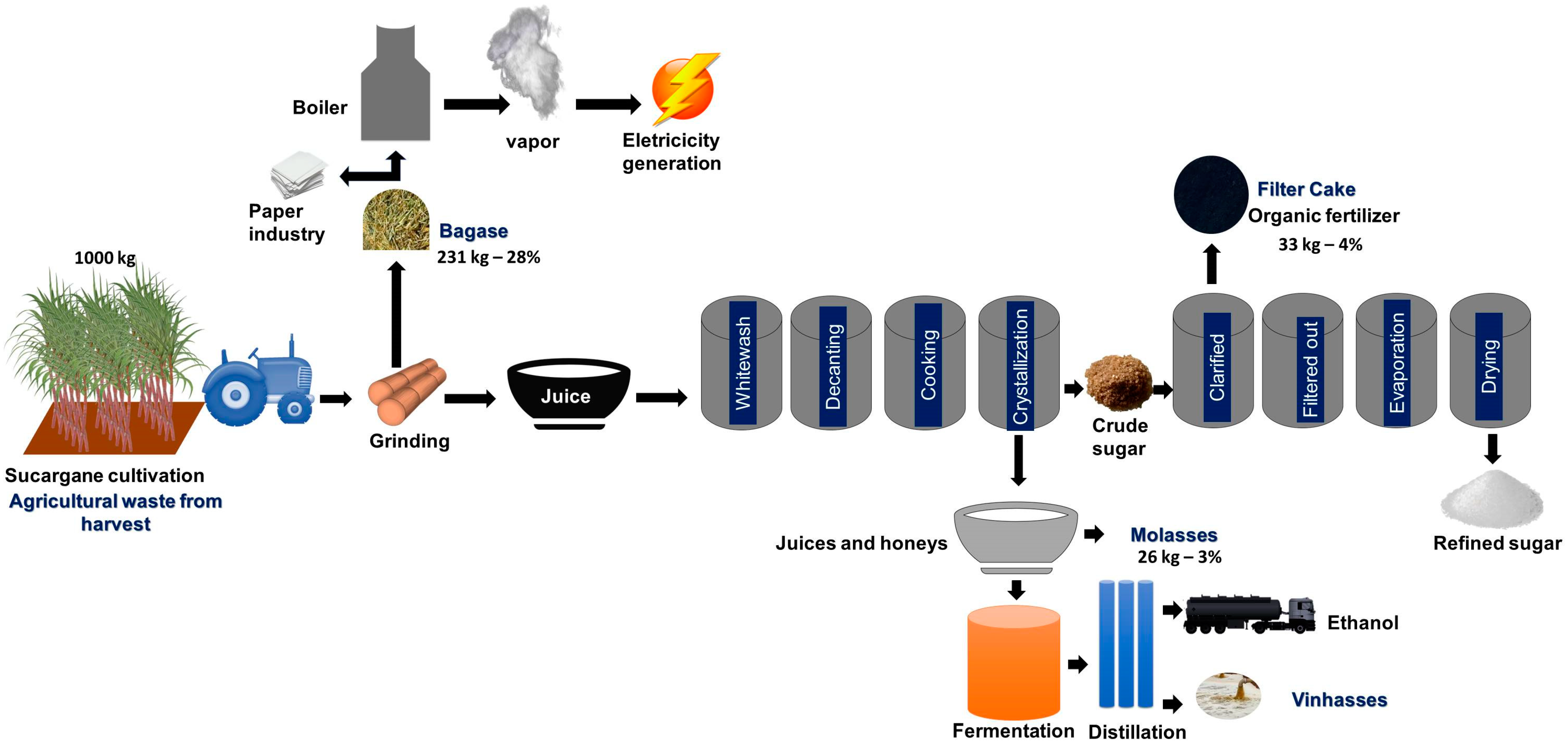 Sustainability 16 05411 g002 Sustainability 16 05411 g002