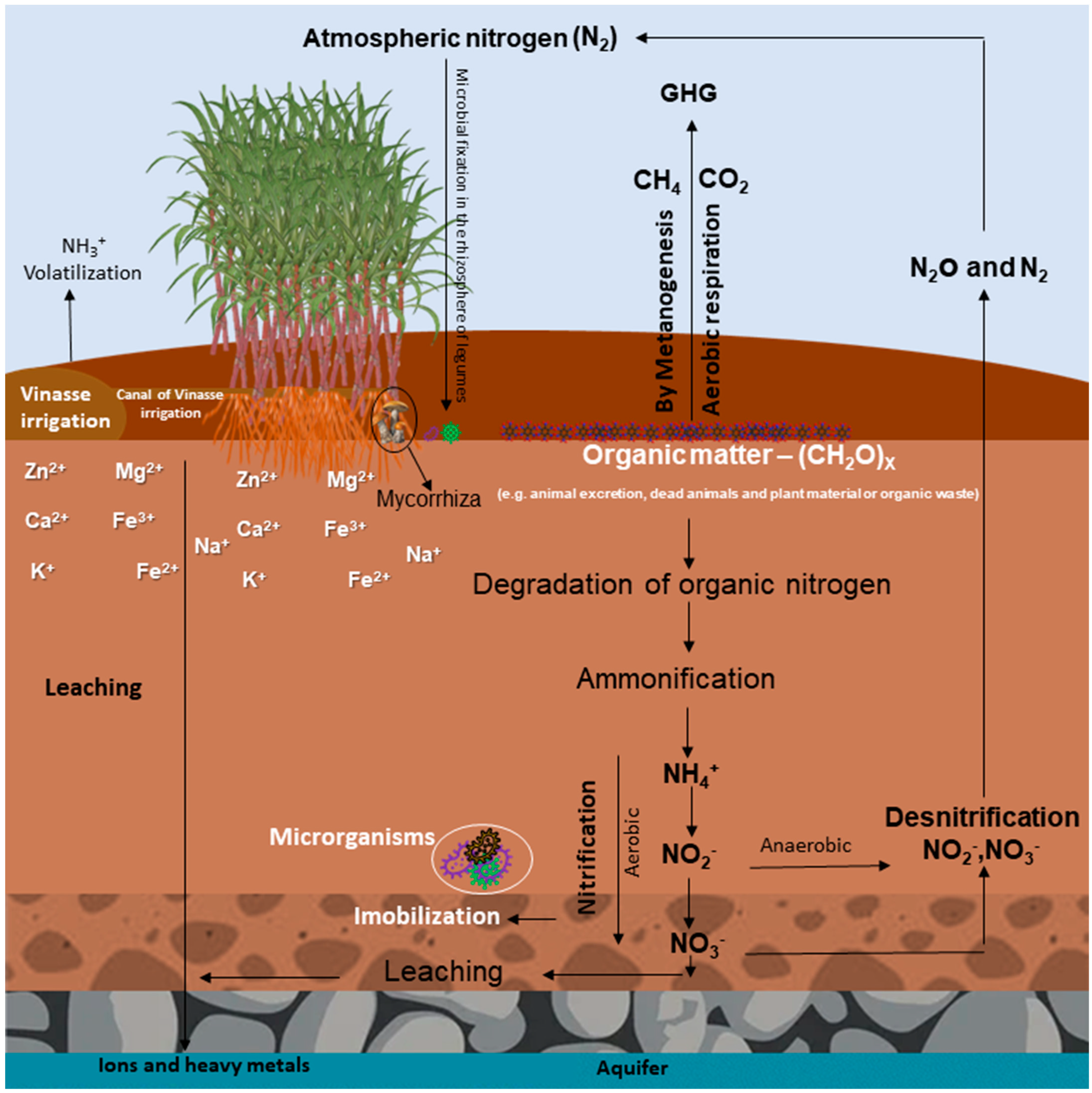 Sustainability 16 05411 g005 Sustainability 16 05411 g005