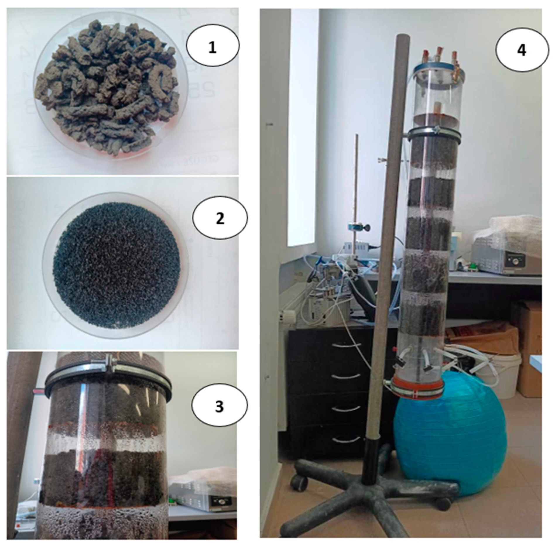 Sustainability 16 05424 g001