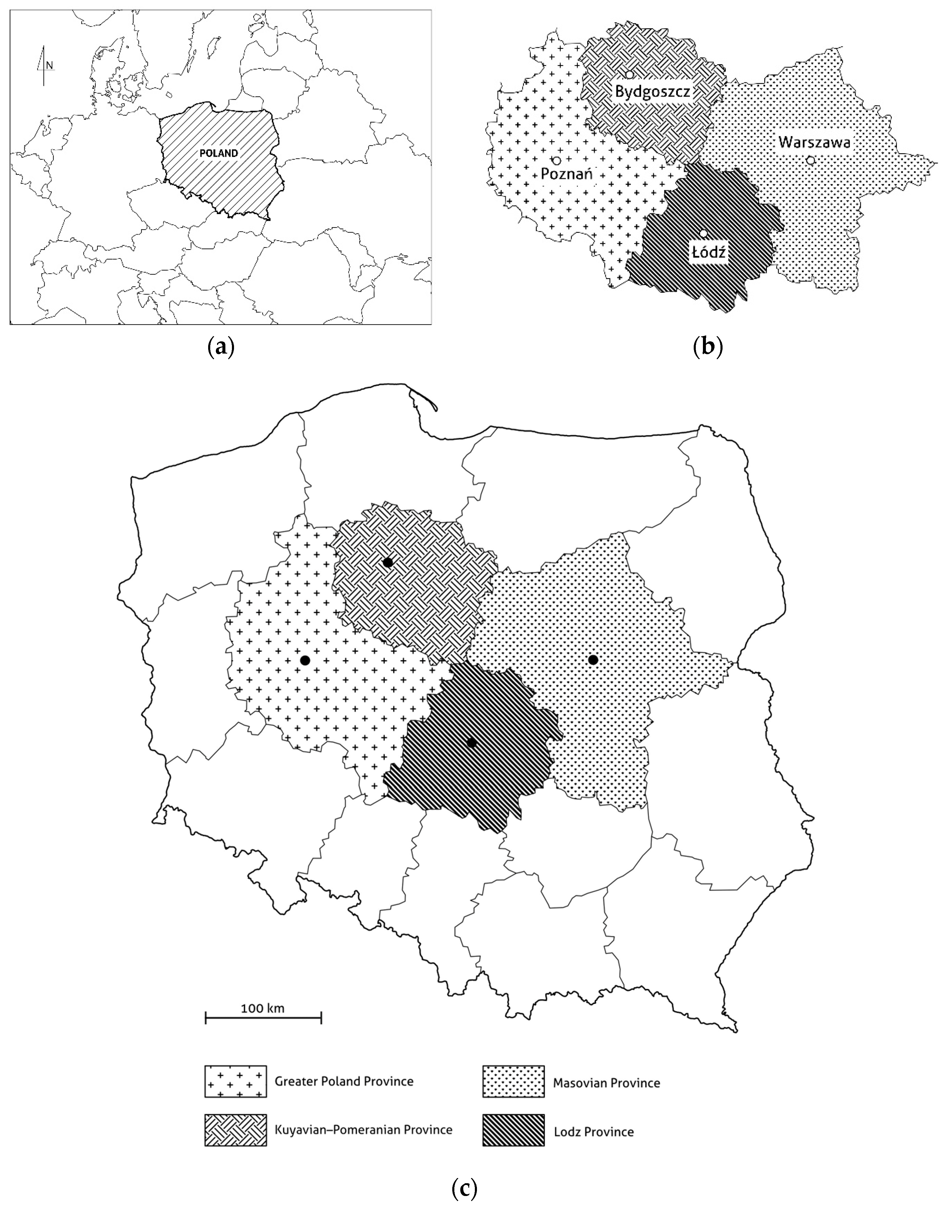 Sustainability 16 05451 g001