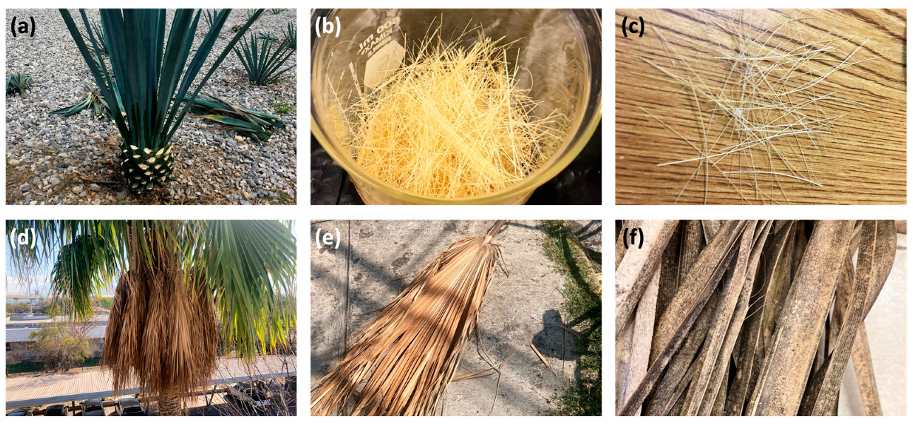 Sustainability 16 05455 g001