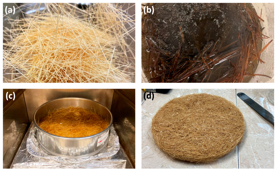 Sustainability 16 05455 g002