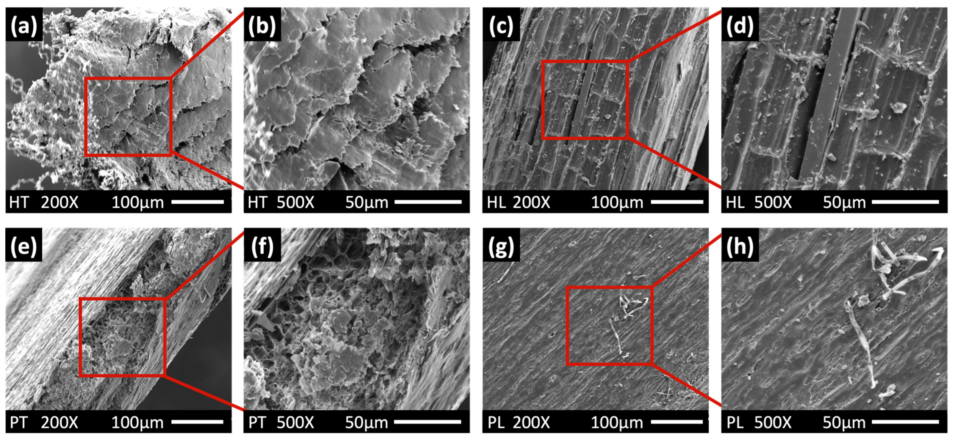 Sustainability 16 05455 g007