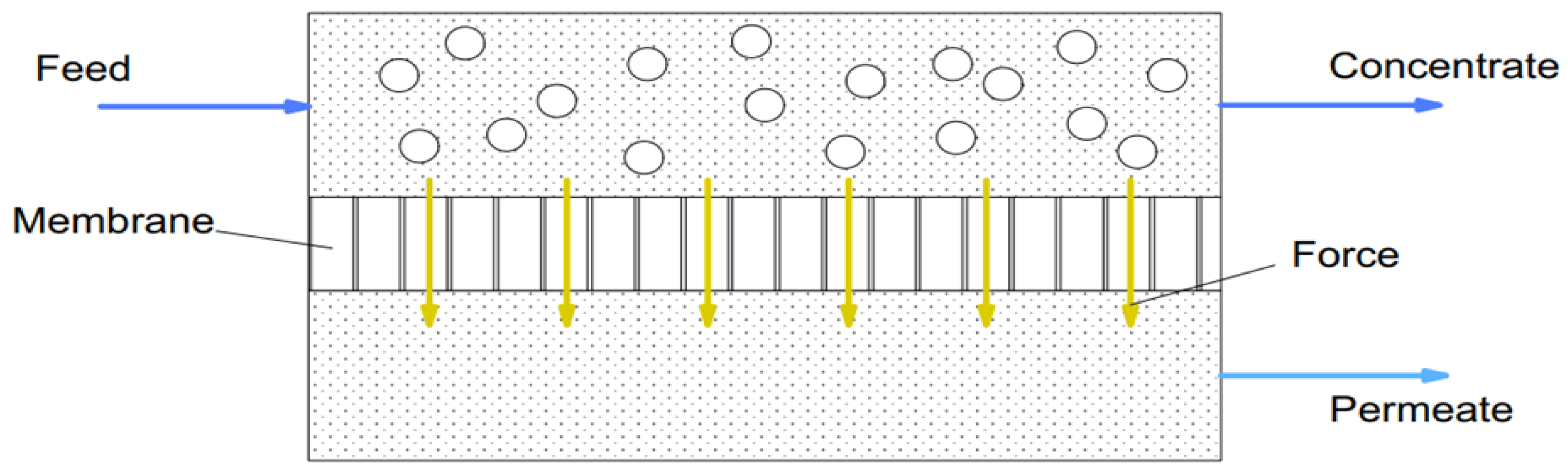 Sustainability 16 05461 g006