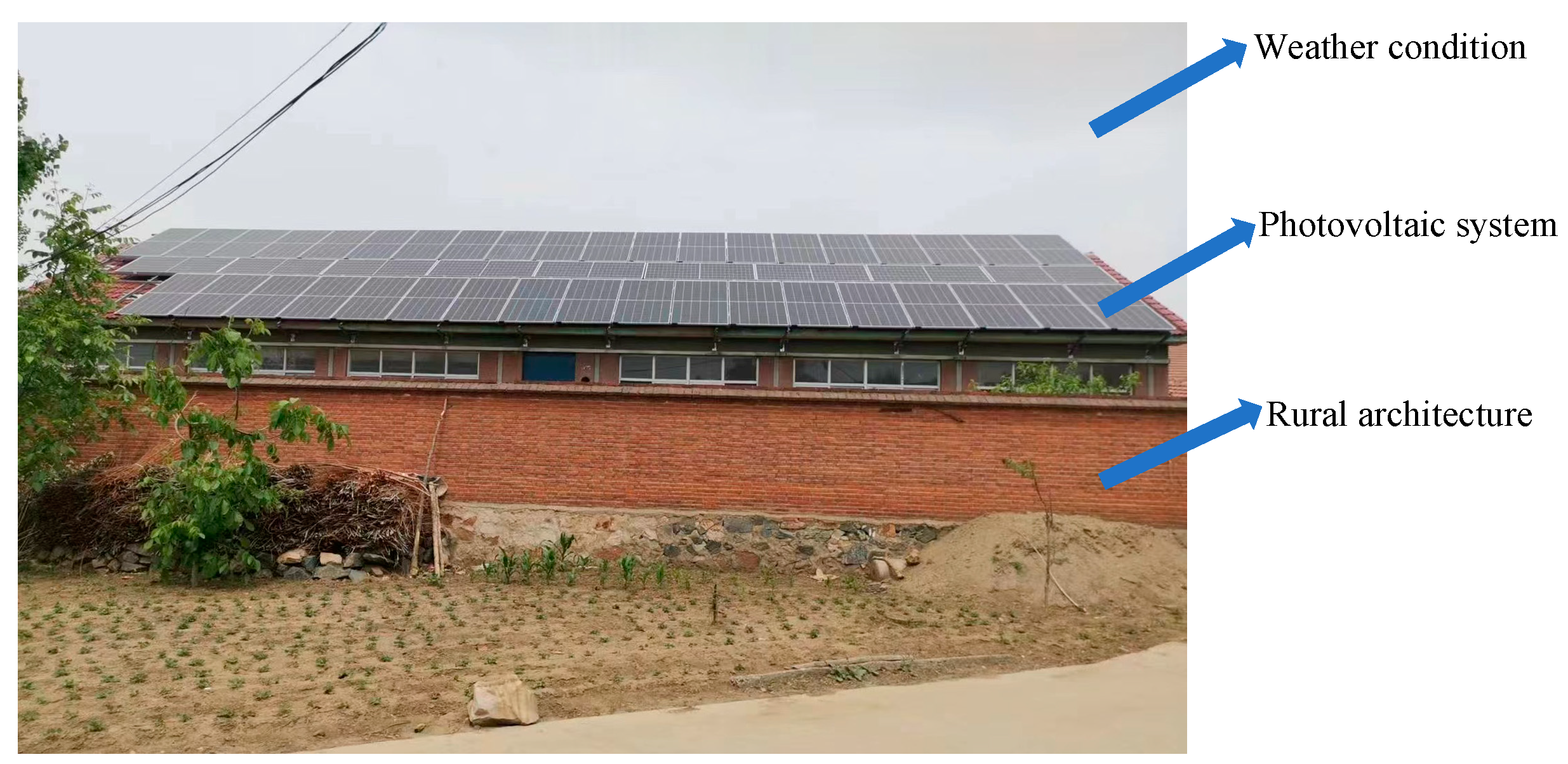 Sustainability 16 05467 g001