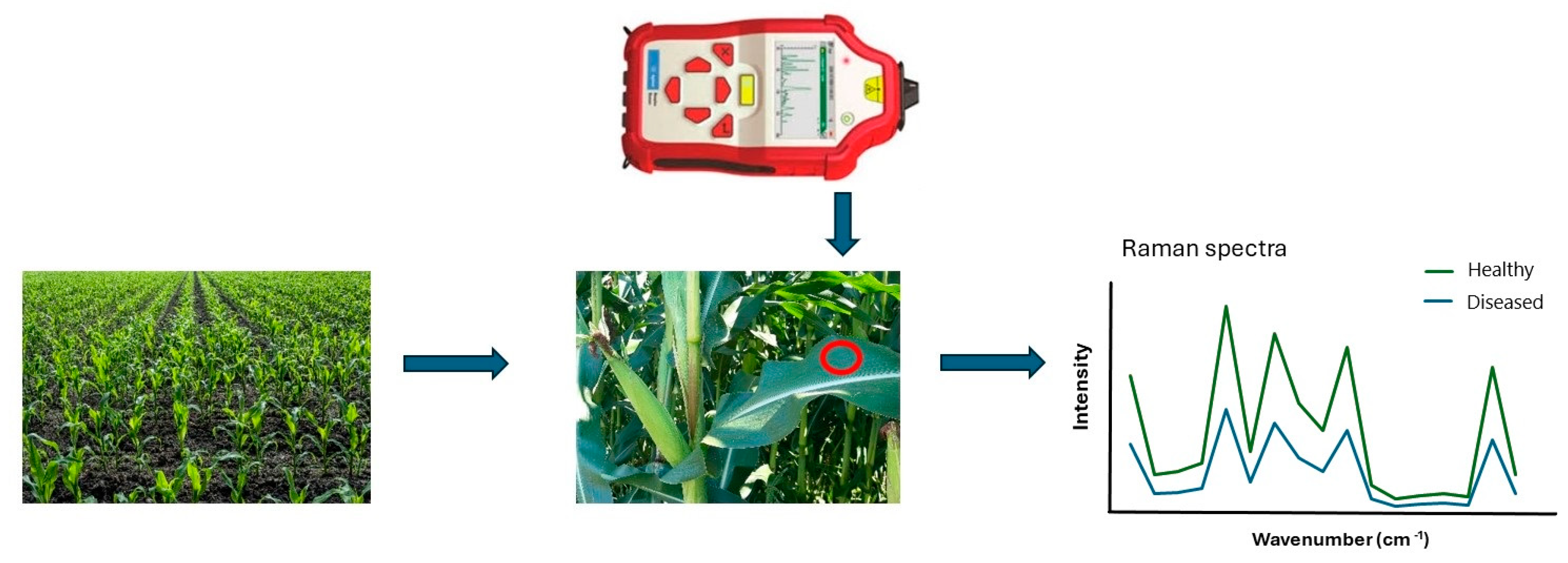 Sustainability 16 05474 g004