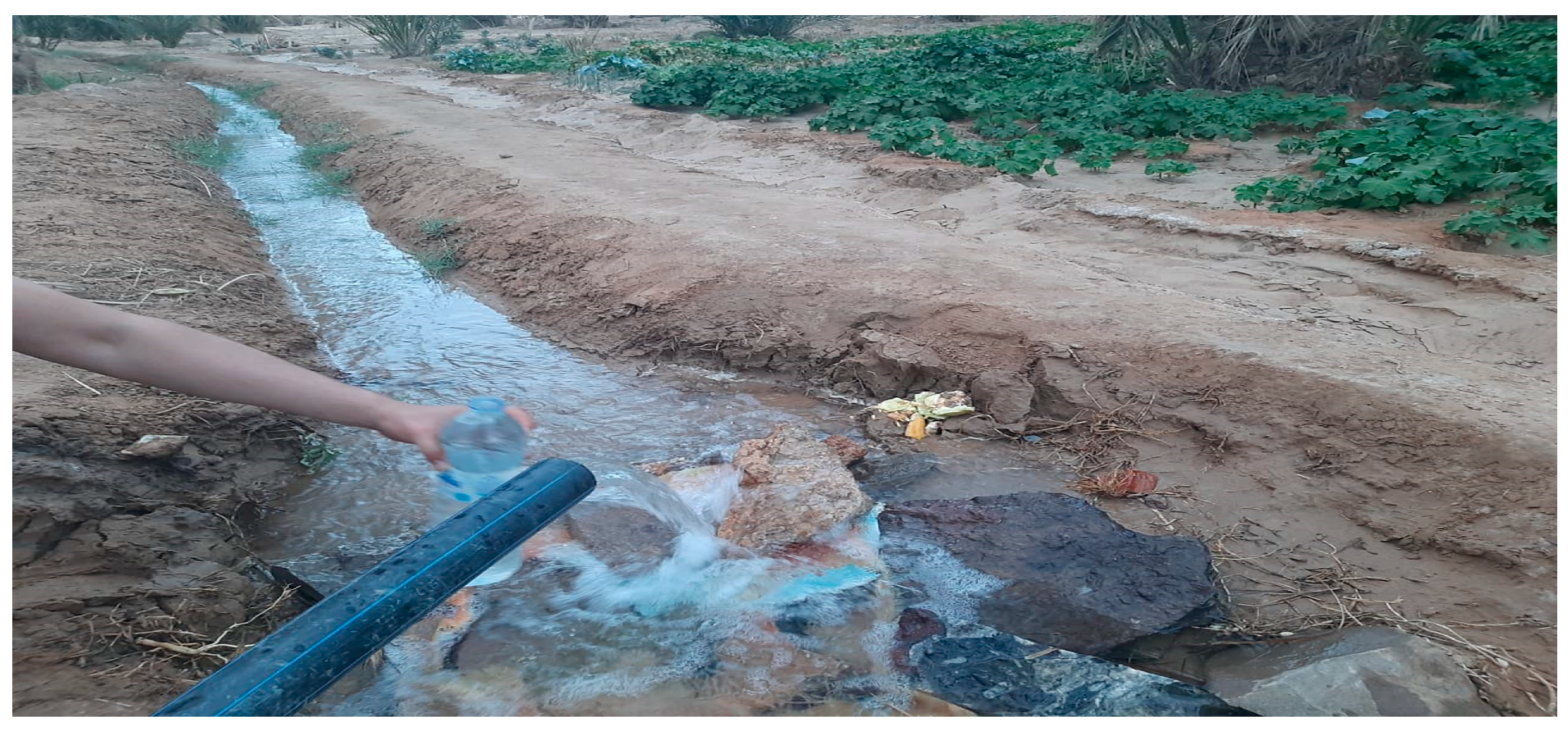 Sustainability 16 05476 g010