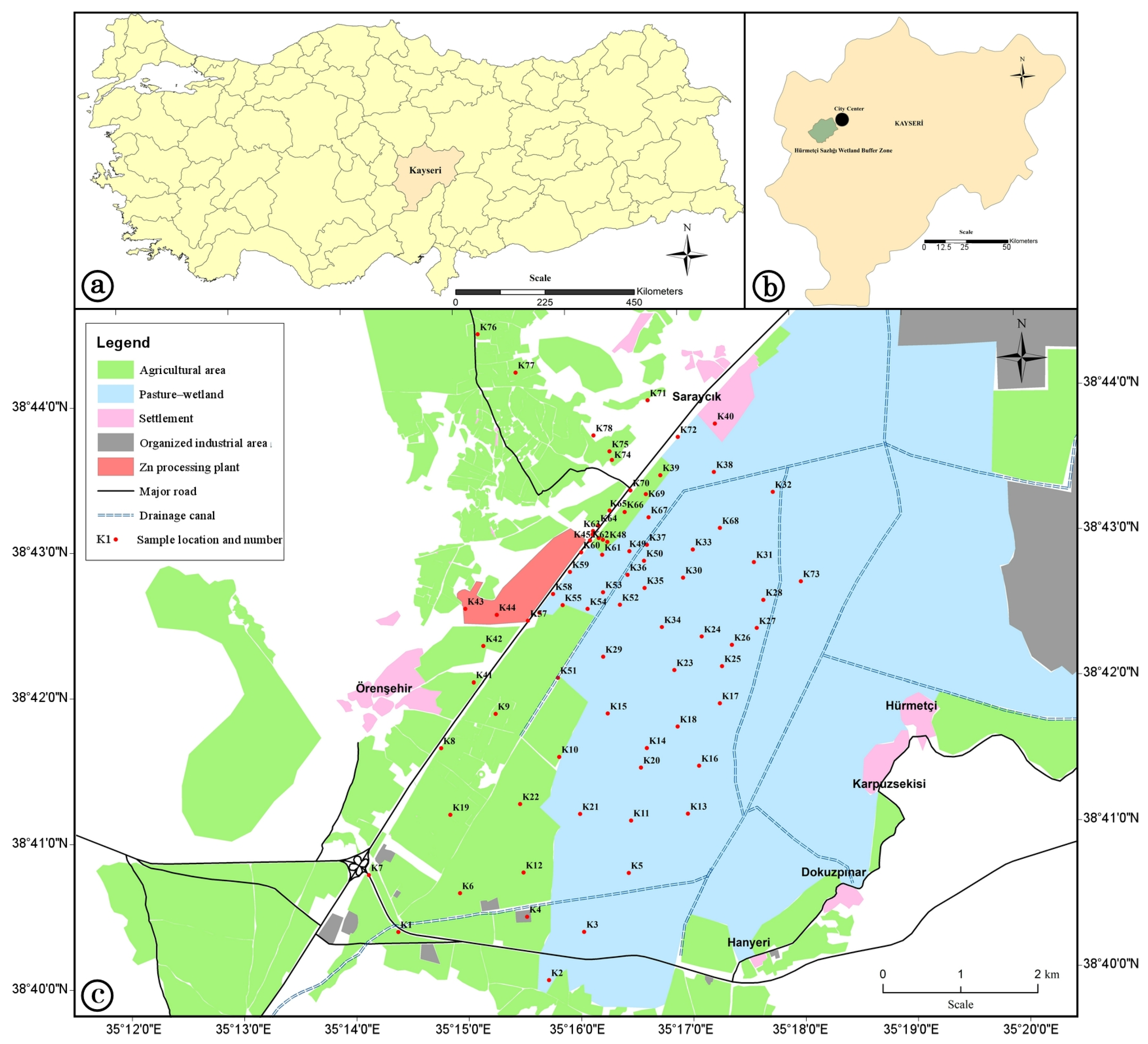 Sustainability 16 05477 g001