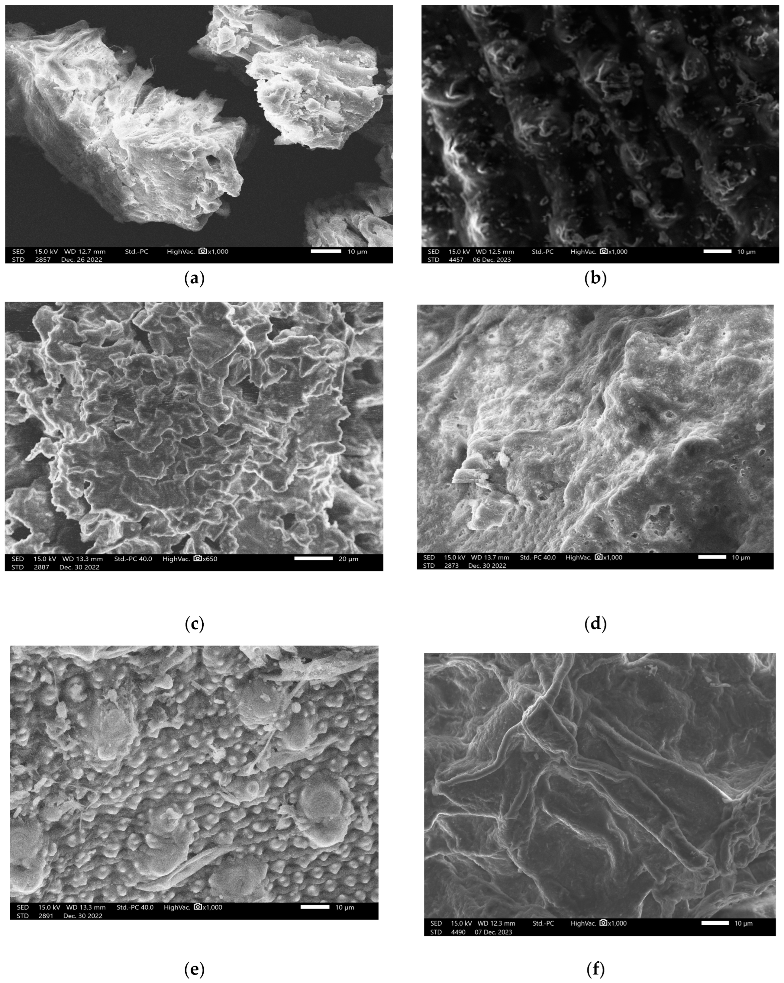 Sustainability 16 05495 g005