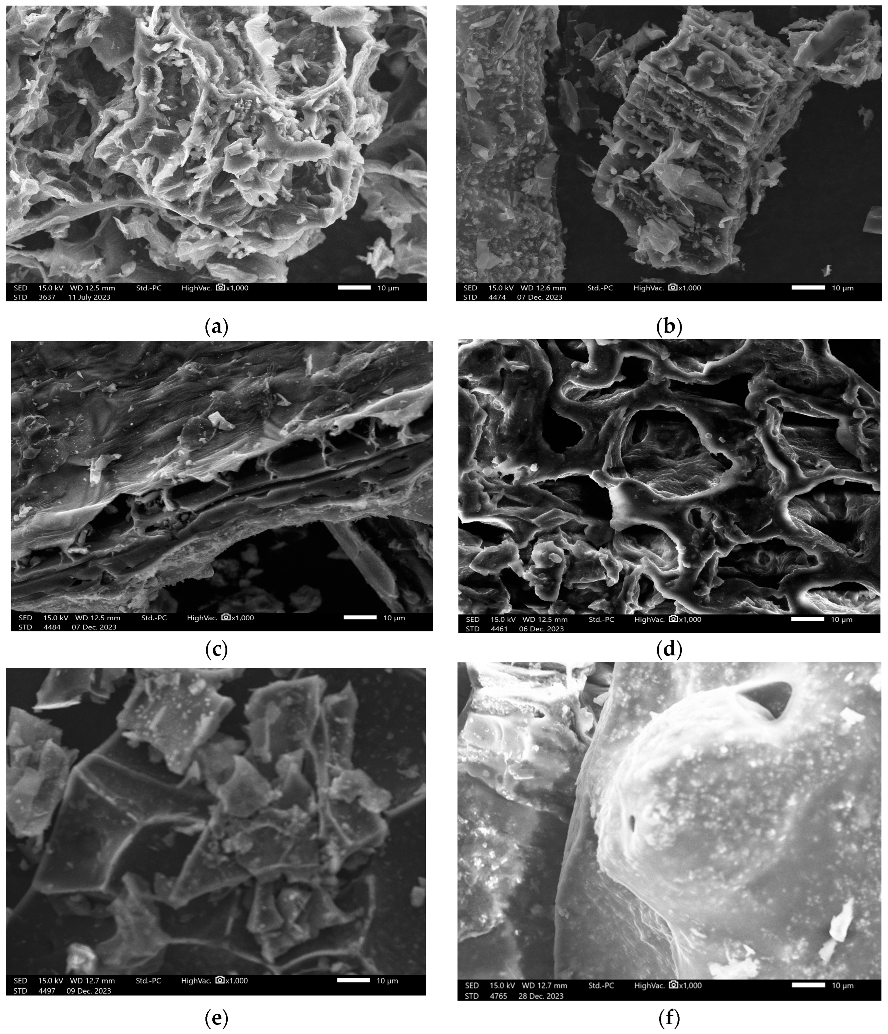 Sustainability 16 05495 g006