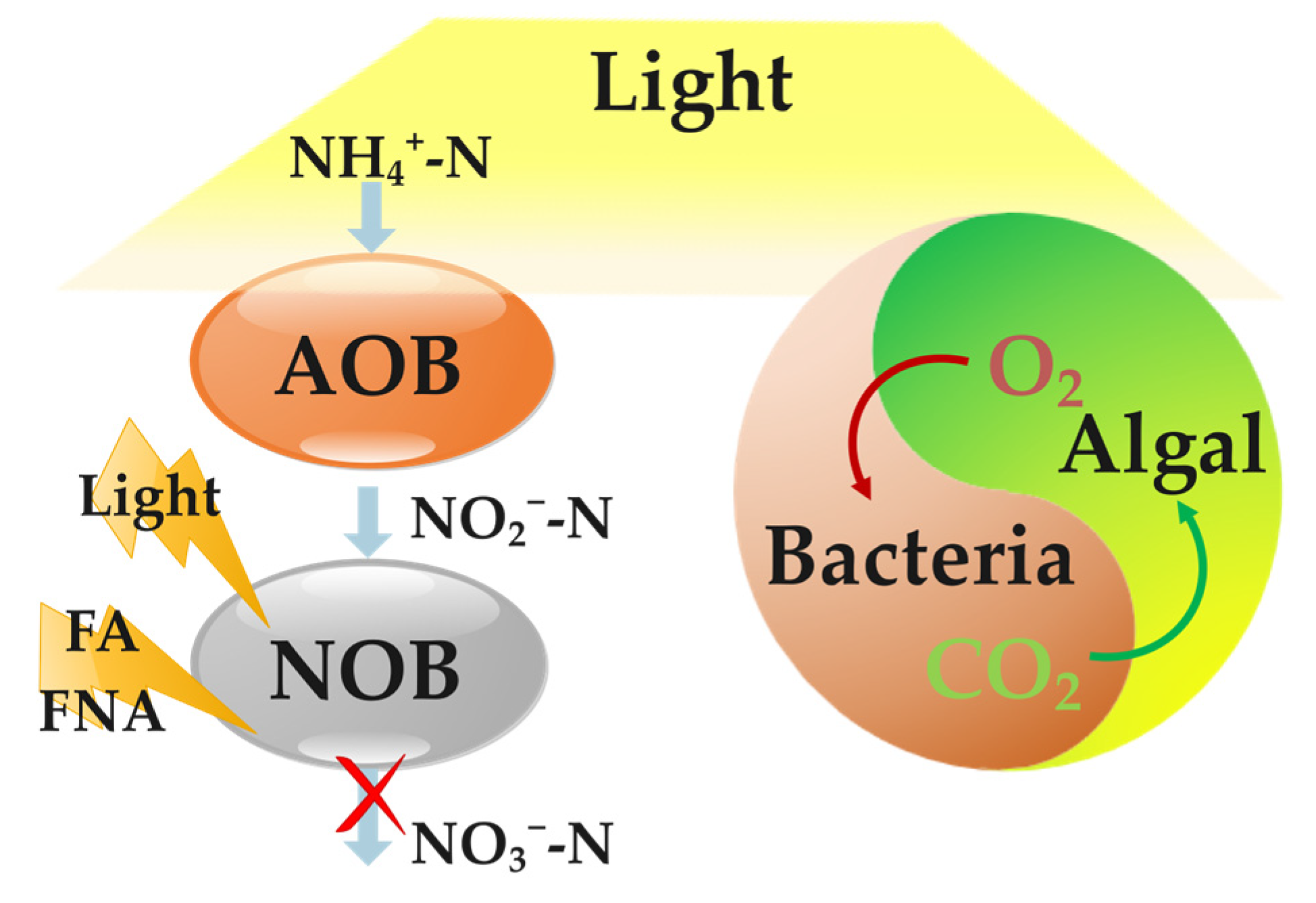 Sustainability 16 05538 g003