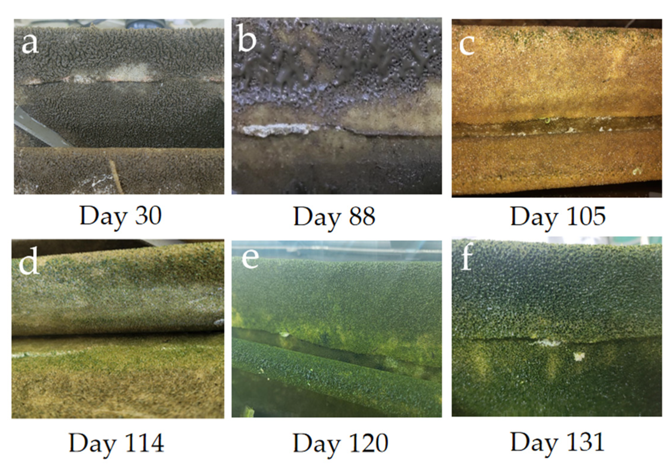 Sustainability 16 05538 g005