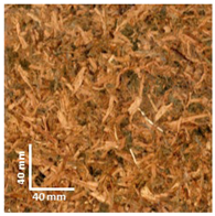 Sustainability 16 05546 i002