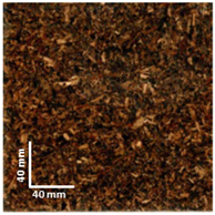 Sustainability 16 05546 i005