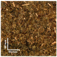 Sustainability 16 05546 i006