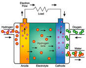 Sustainability 16 05569 i006