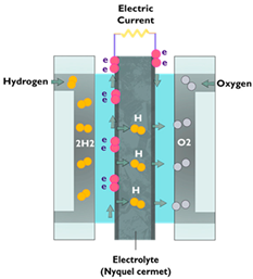 Sustainability 16 05569 i008