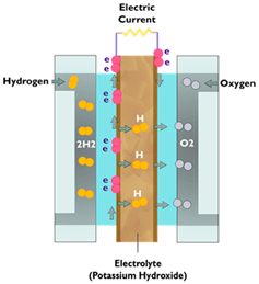 Sustainability 16 05569 i009