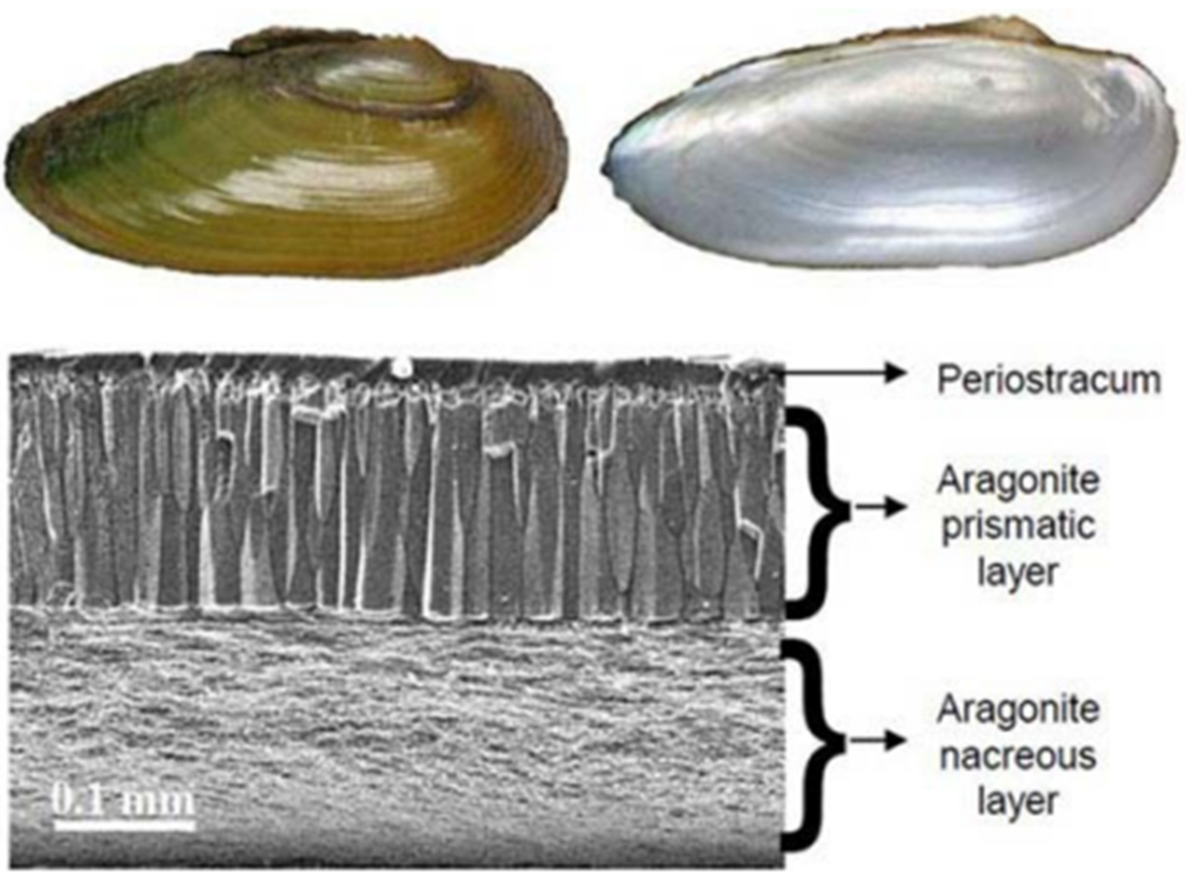 Sustainability 16 05577 g006