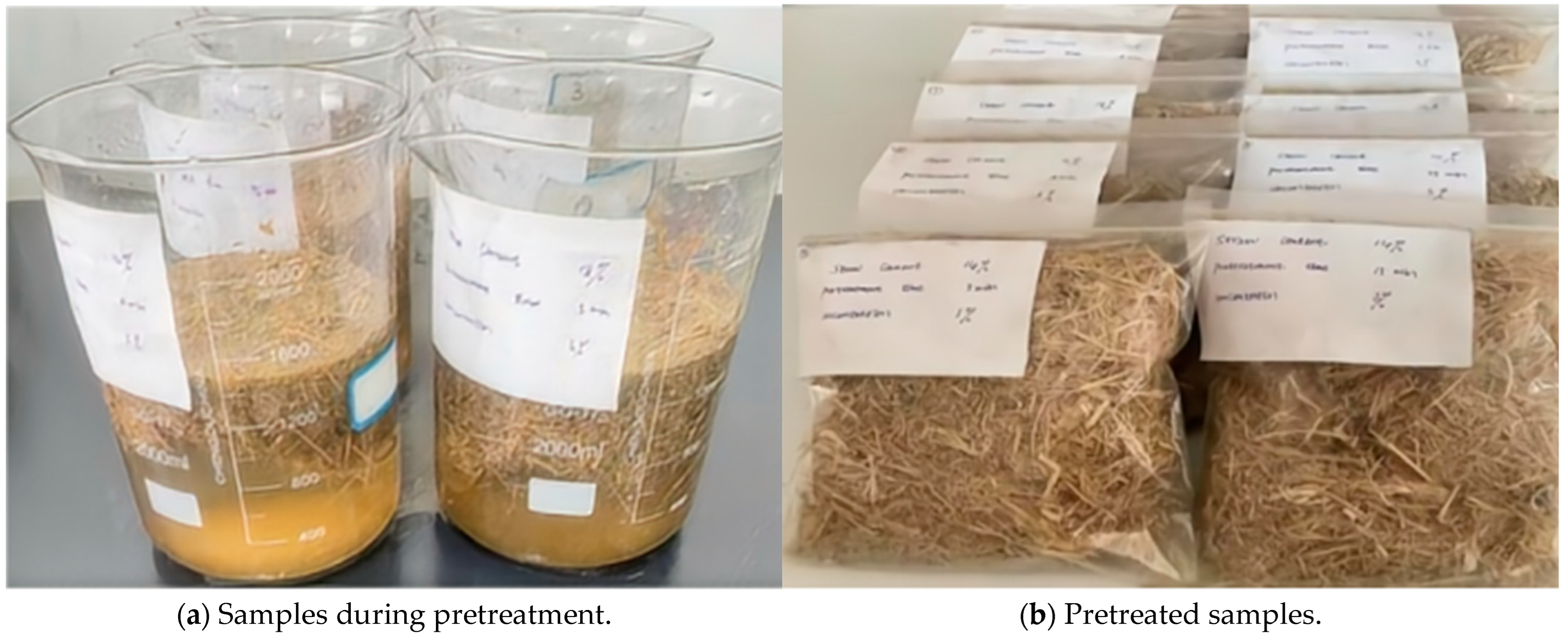 Sustainability 16 05608 g001