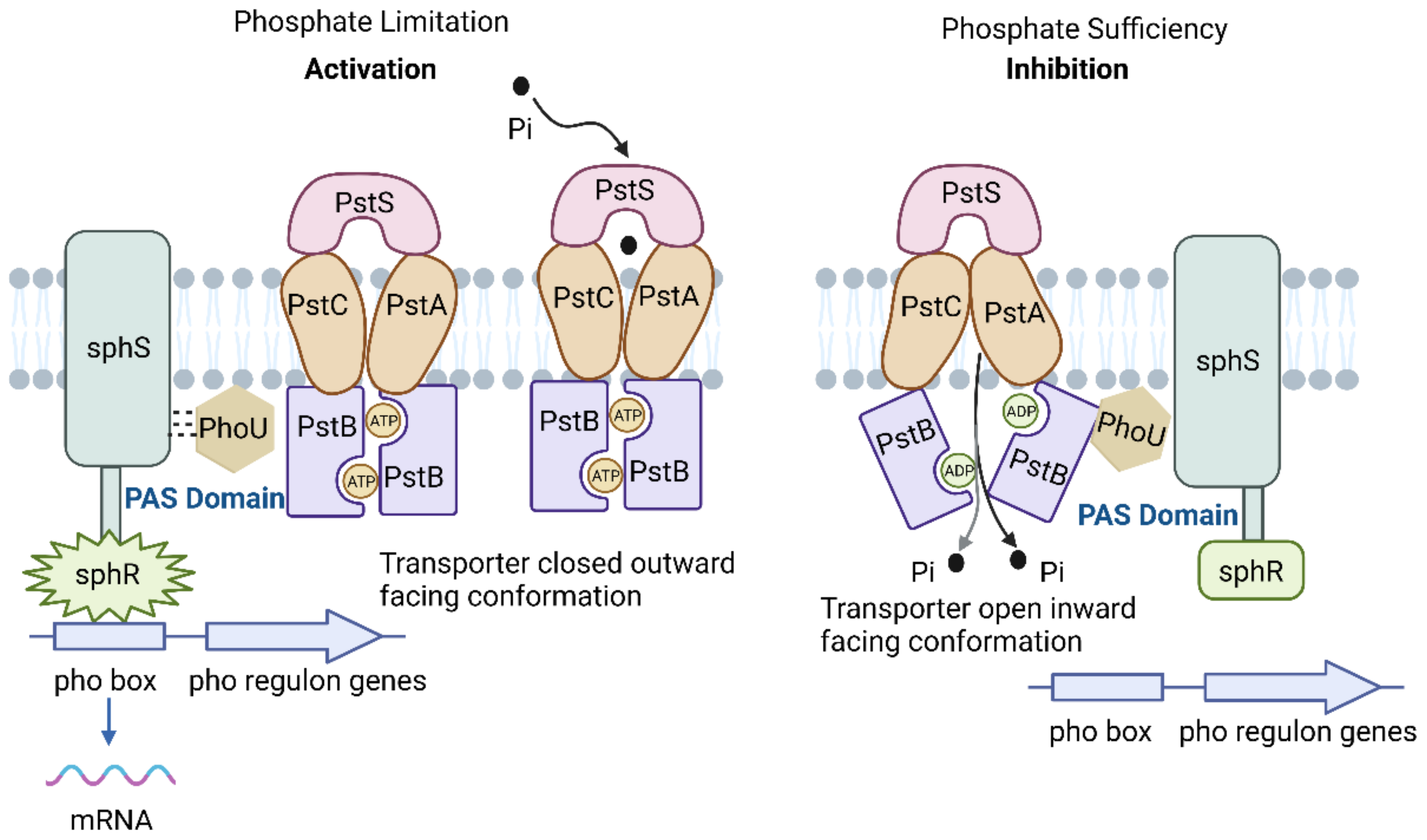 Sustainability 16 05642 g001 Sustainability 16 05642 g001