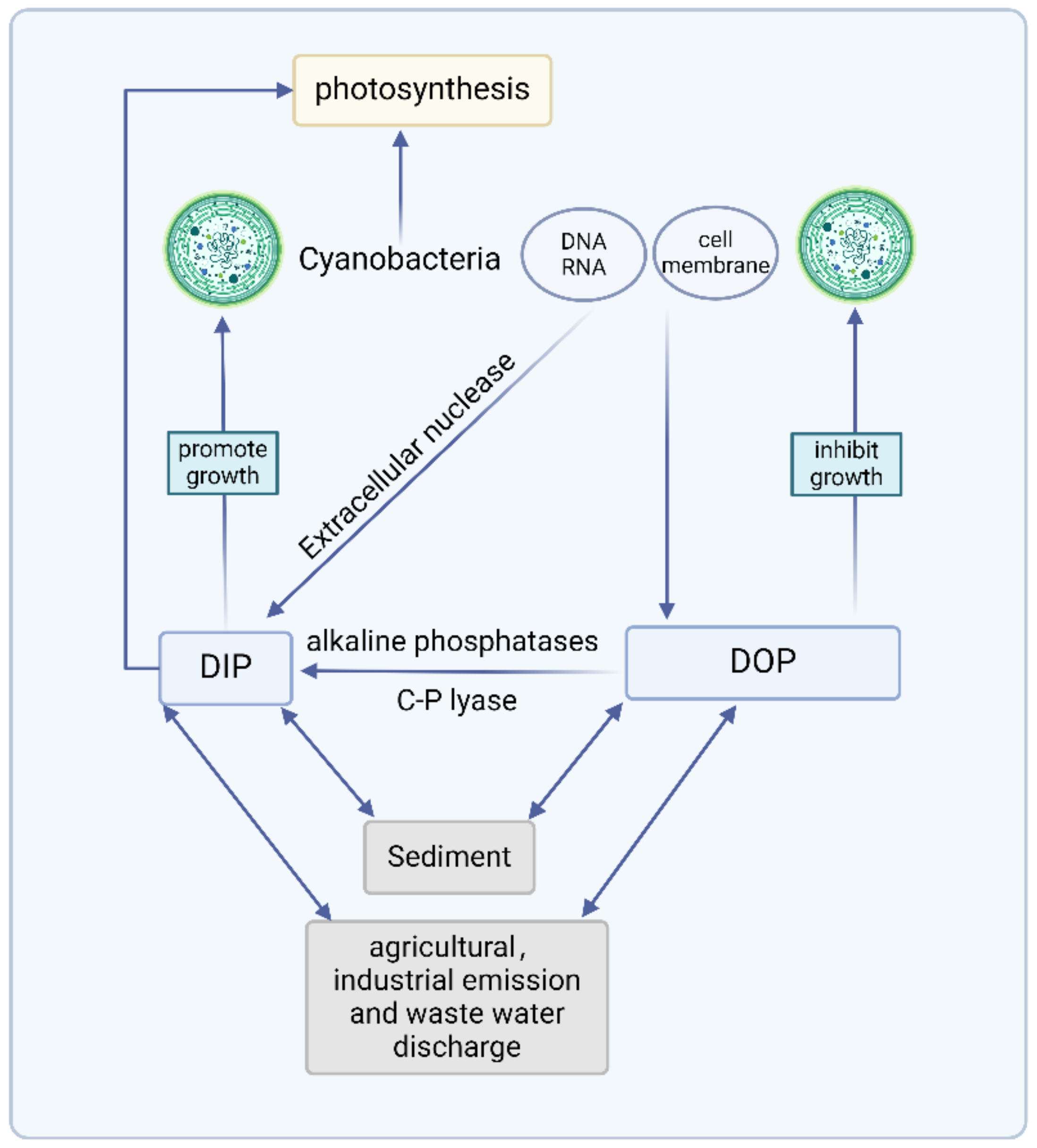 Sustainability 16 05642 g003 Sustainability 16 05642 g003