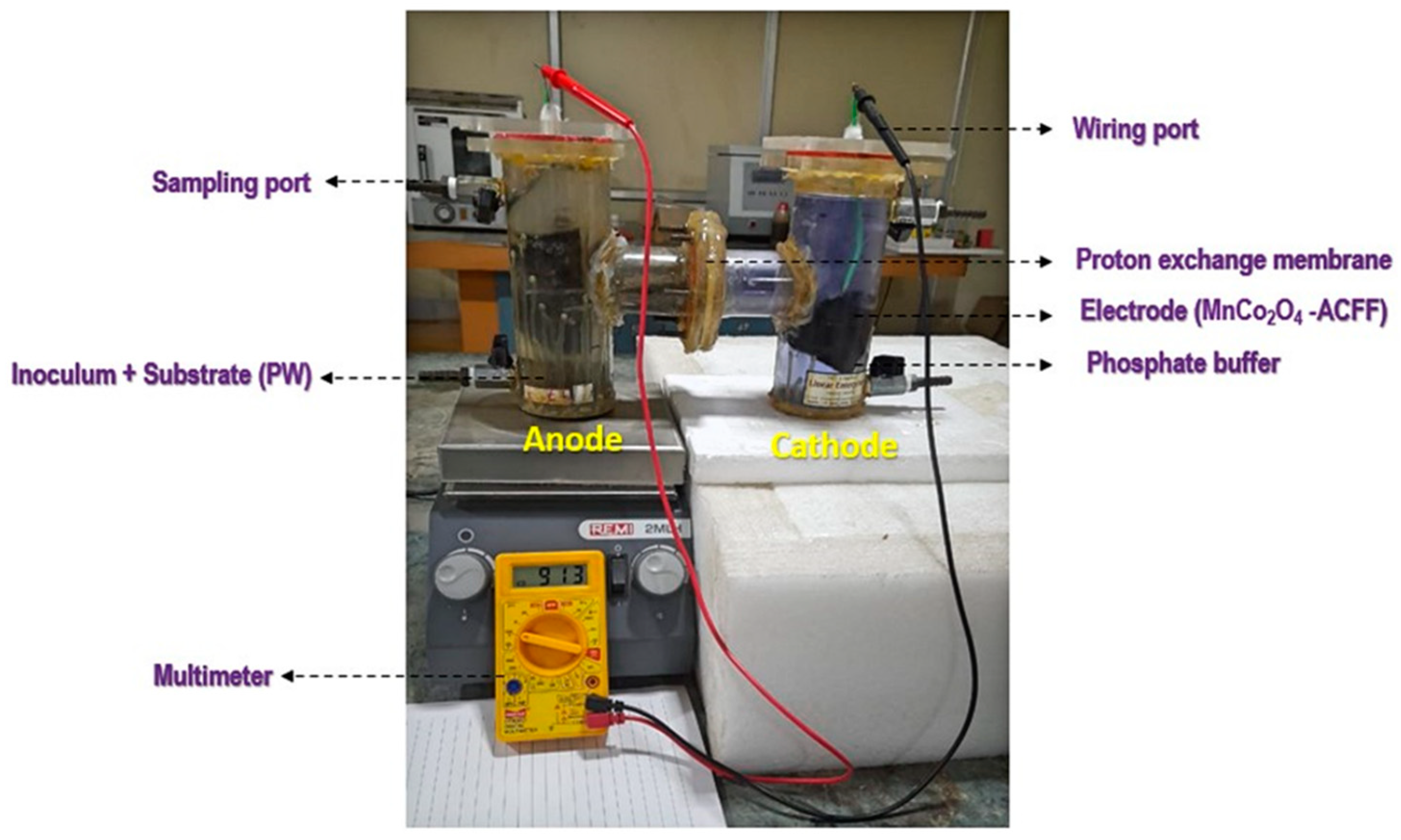 Sustainability 16 05654 g001