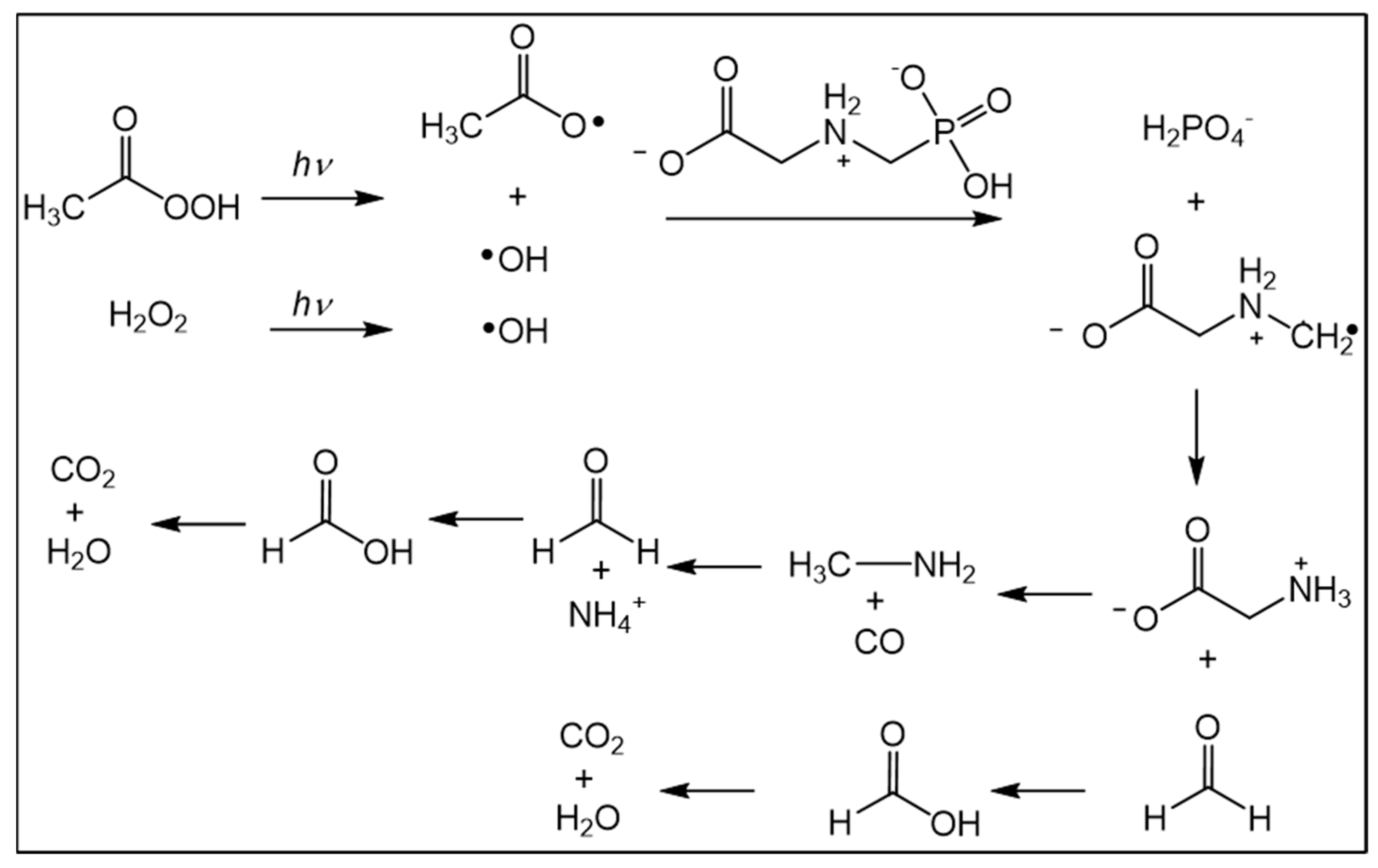 Sustainability 16 05741 g005