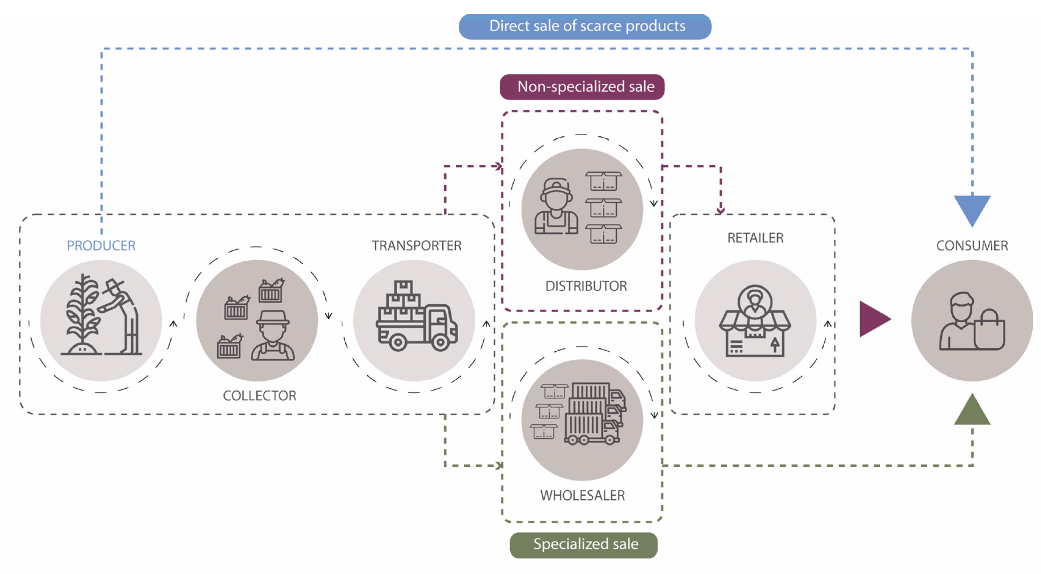 Sustainability 16 05744 g002