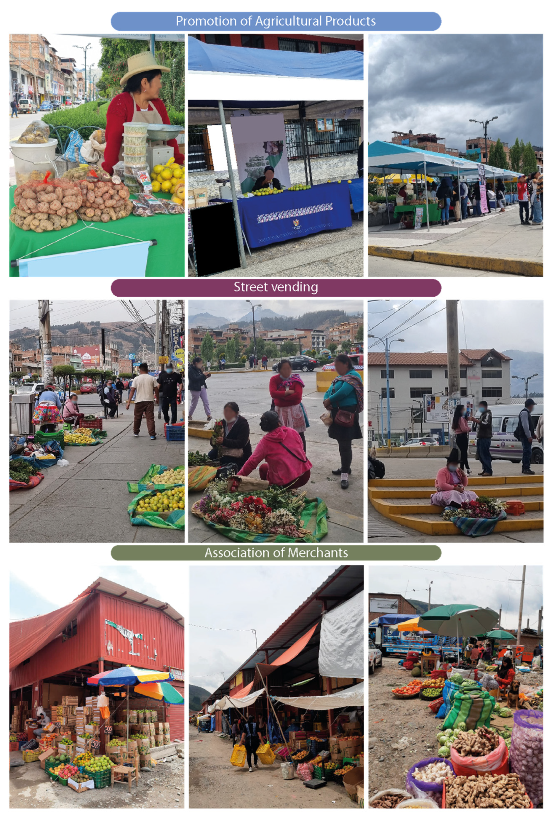 Sustainability 16 05744 g007