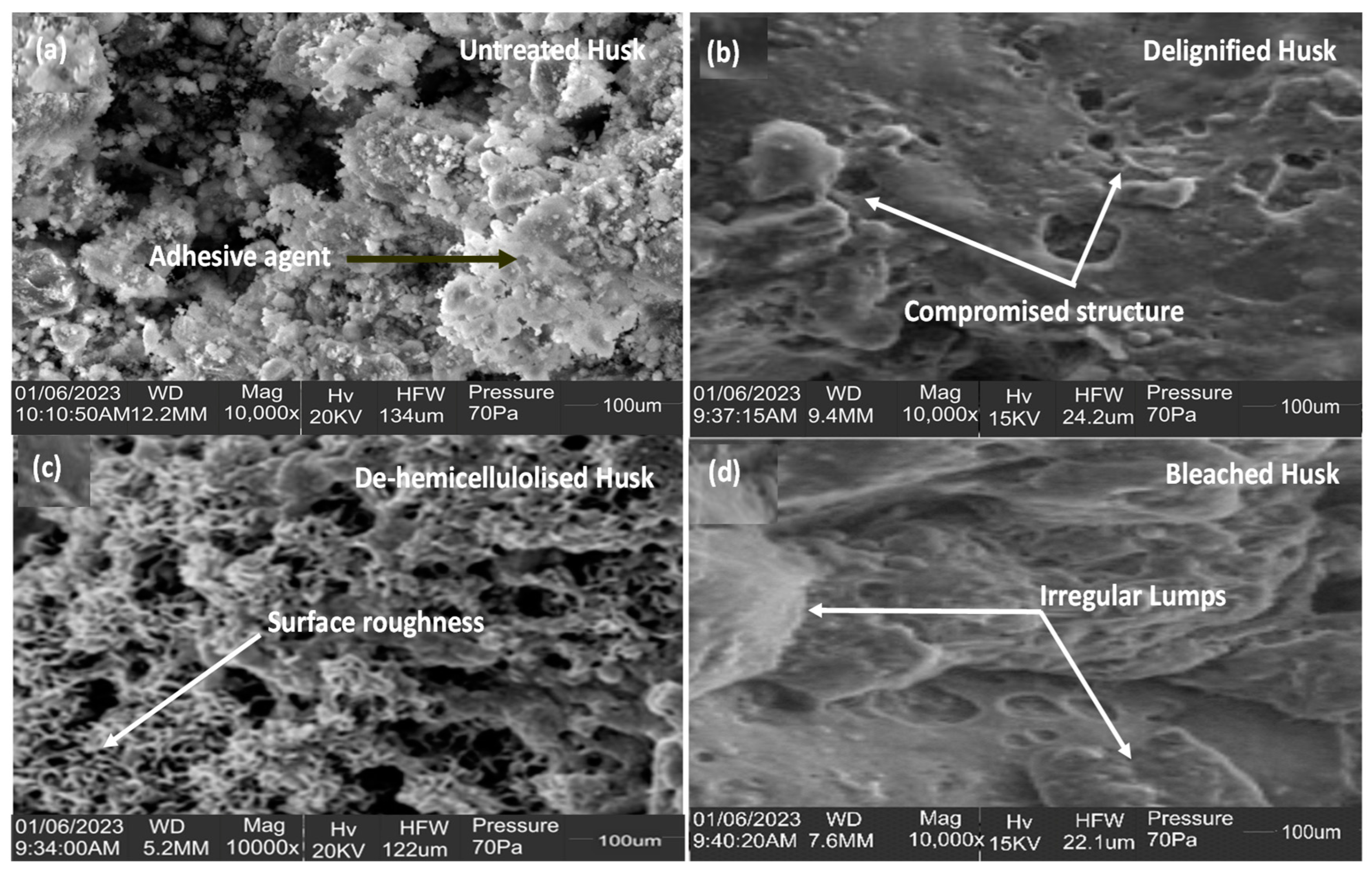 Sustainability 16 05782 g002