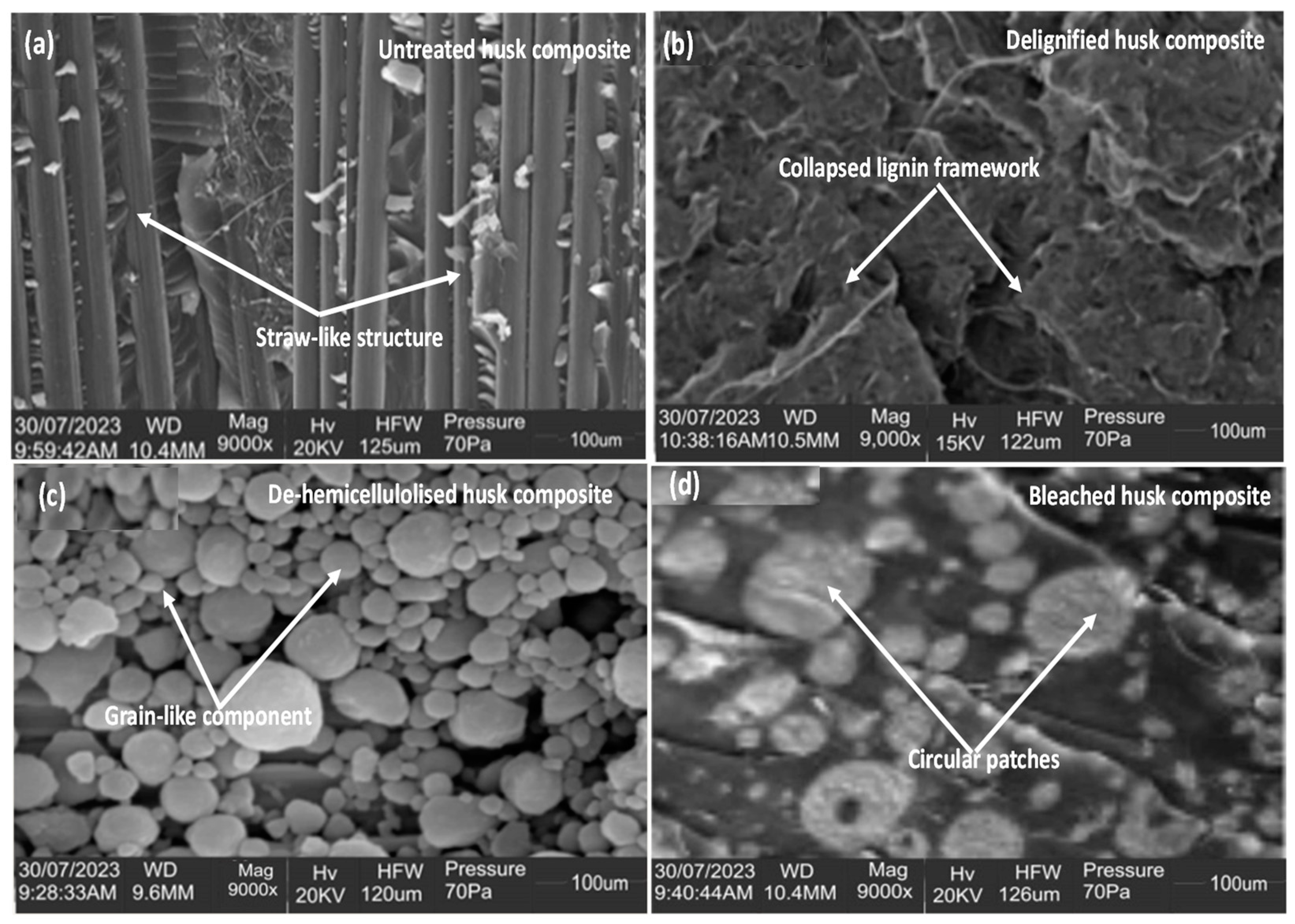 Sustainability 16 05782 g009