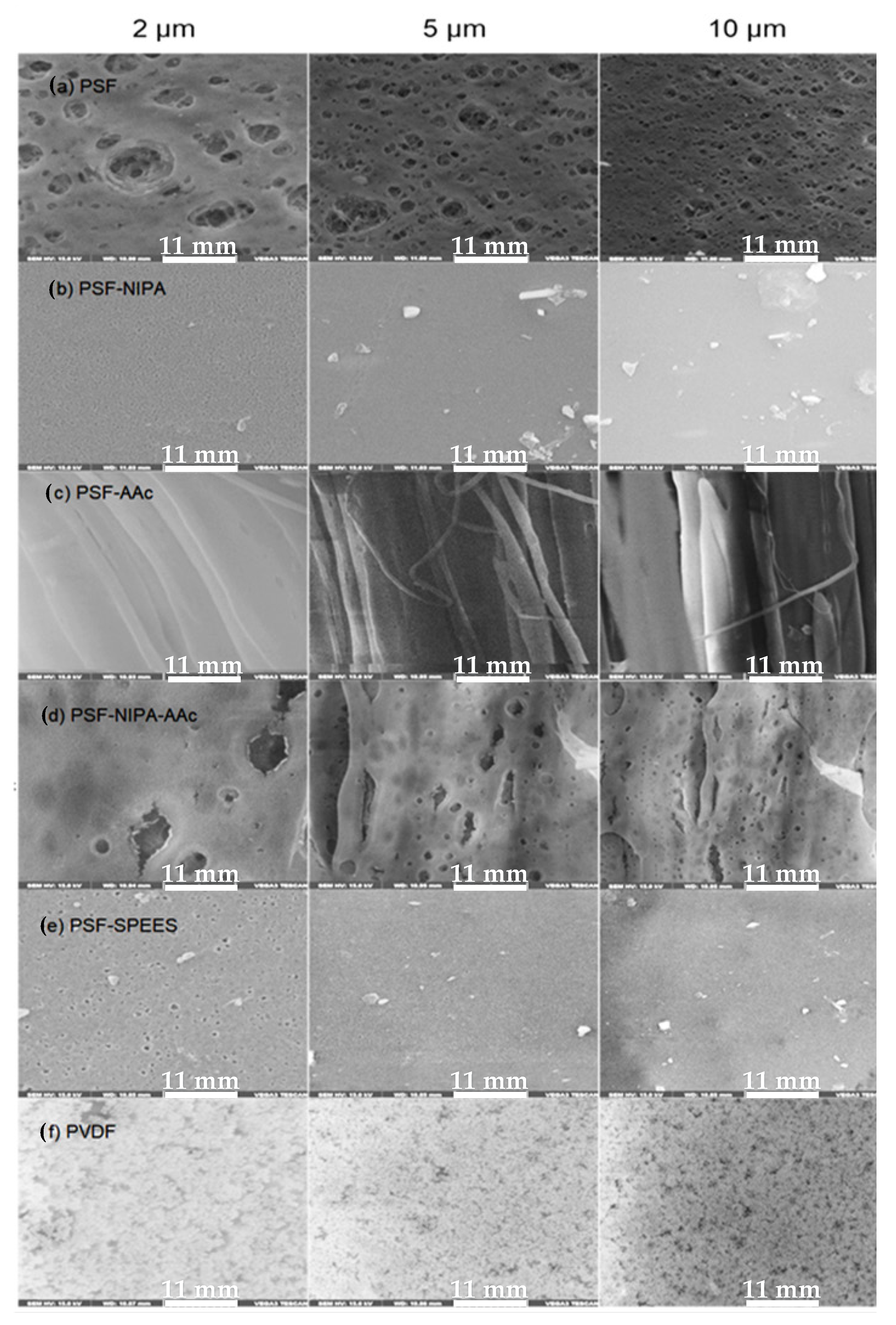 Sustainability 16 05796 g002