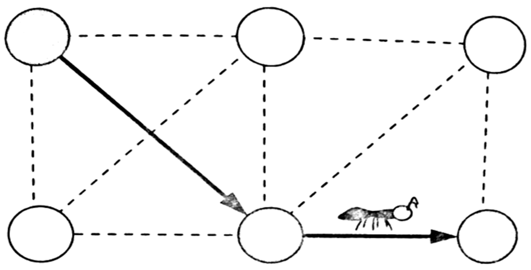 Sustainability 16 05801 g002