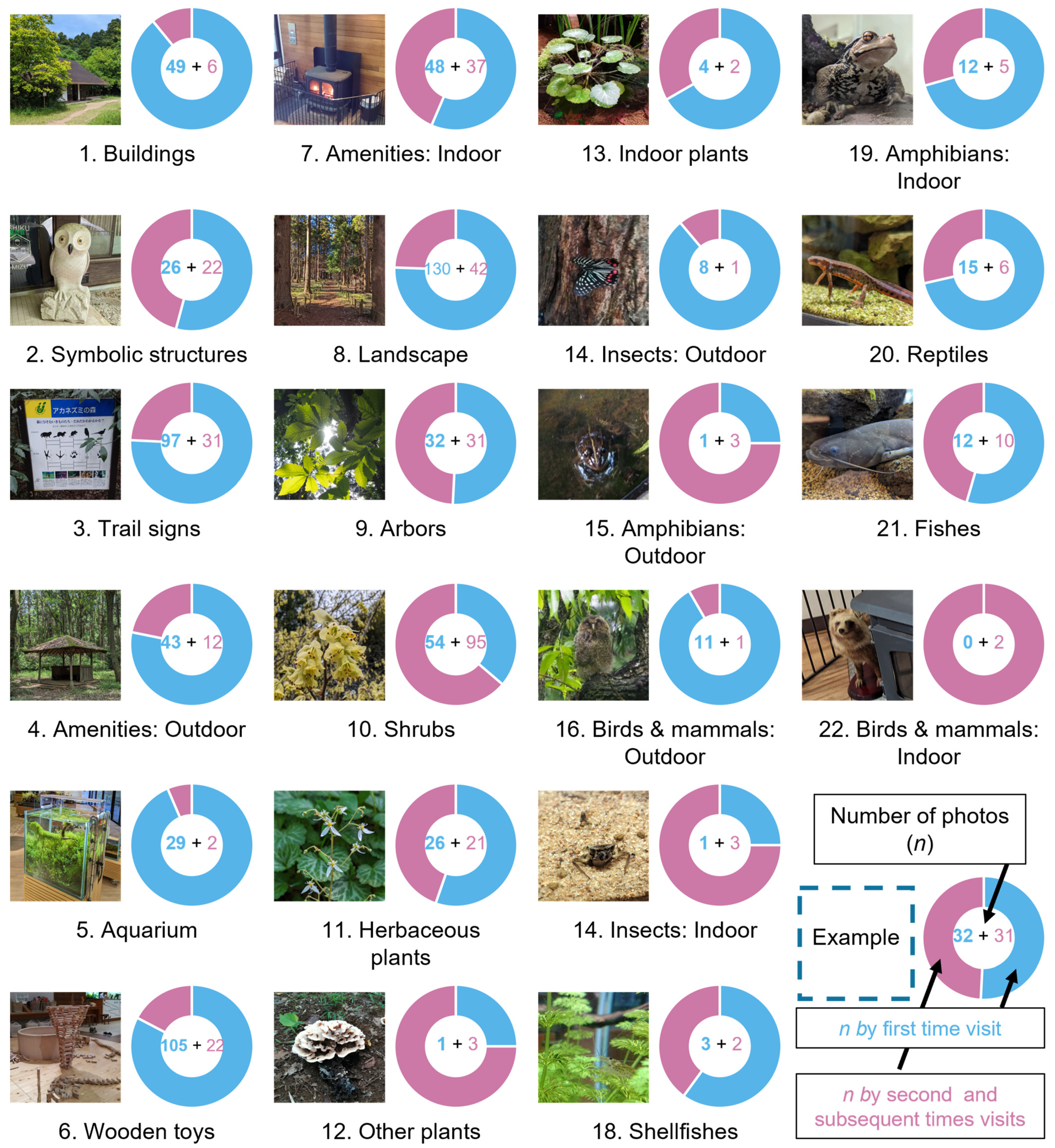 Sustainability 16 05804 g005
