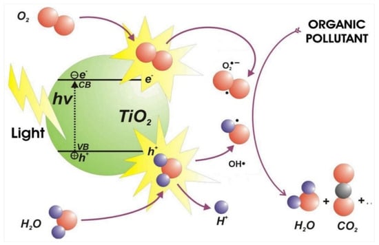 Sustainability 16 05821 g008