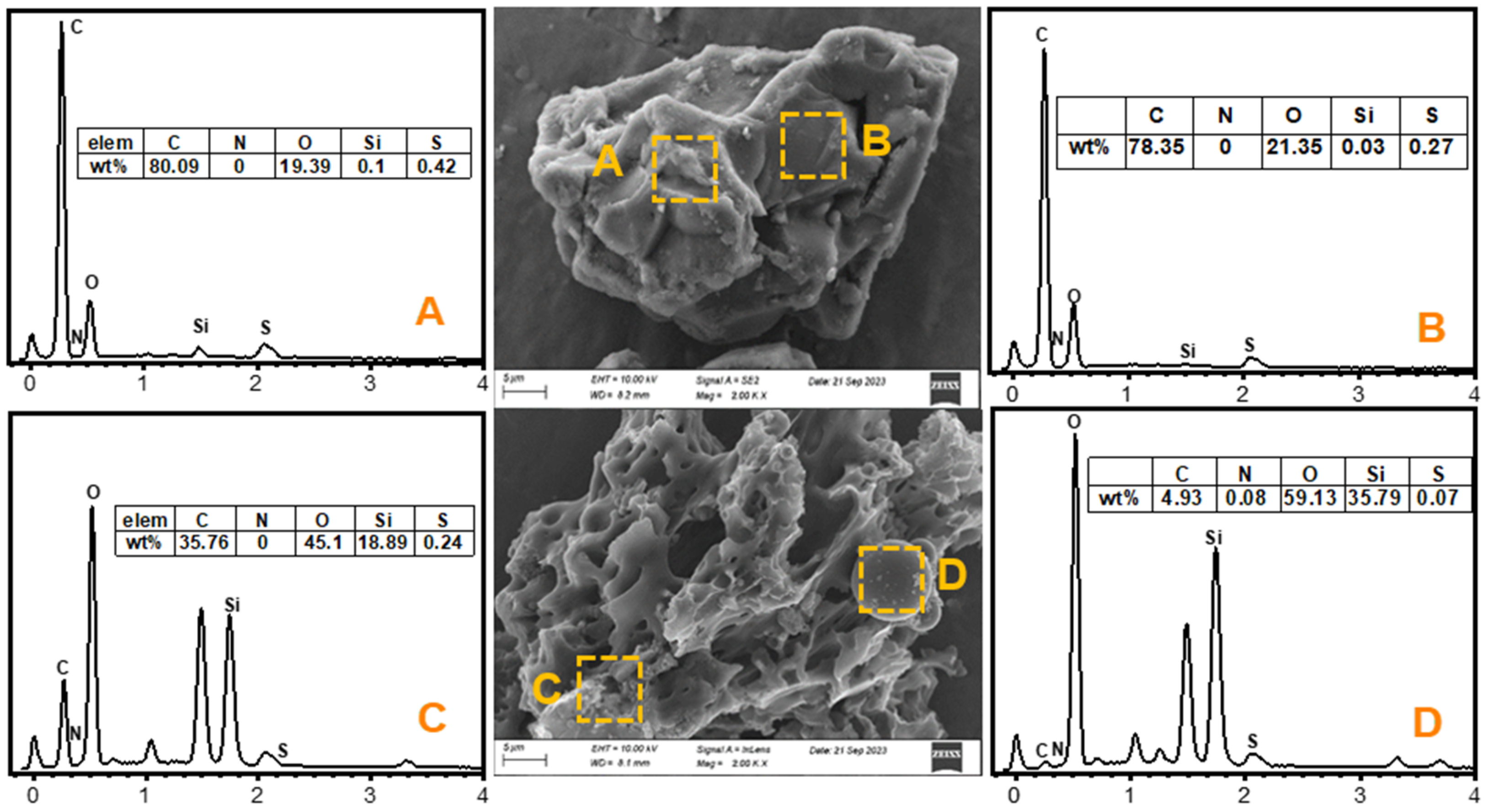 Sustainability 16 05824 g003