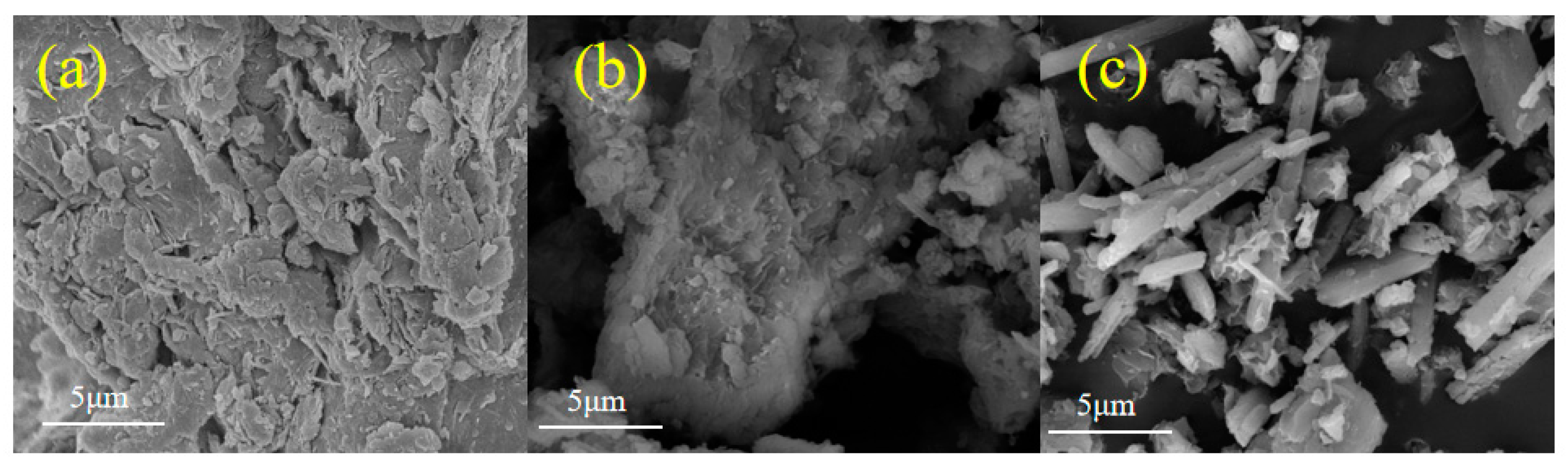 Sustainability 16 05831 g001 Sustainability 16 05831 g001