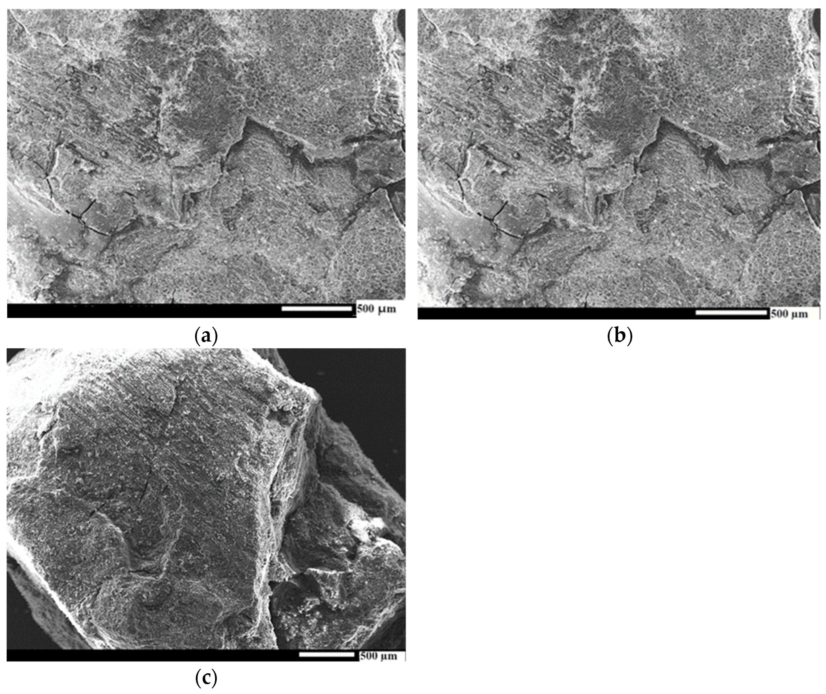 Sustainability 16 05876 g006