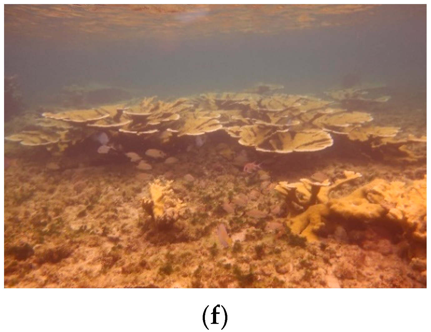 Sustainability 16 05985 g001b