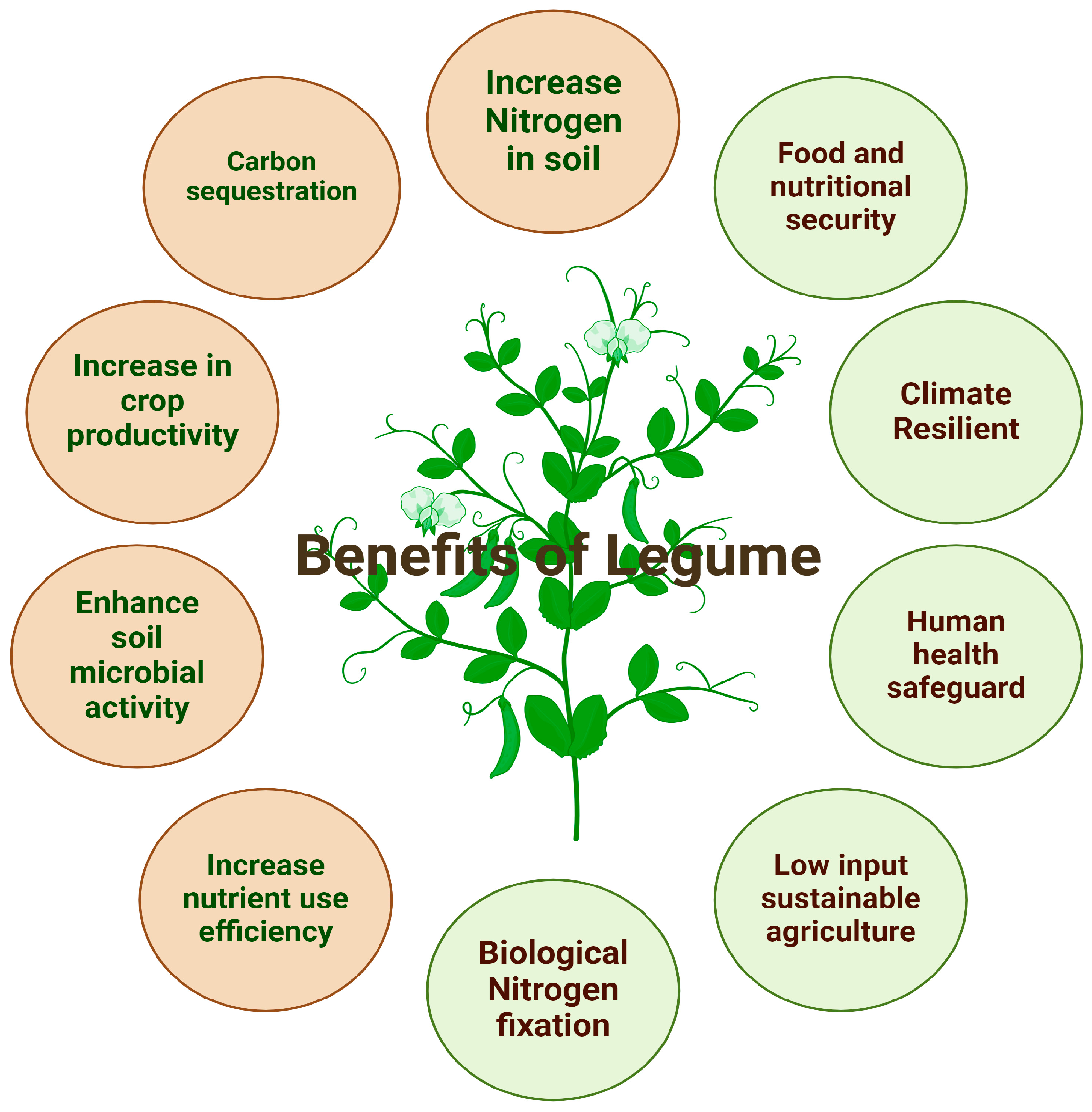 Sustainability 16 06026 g001