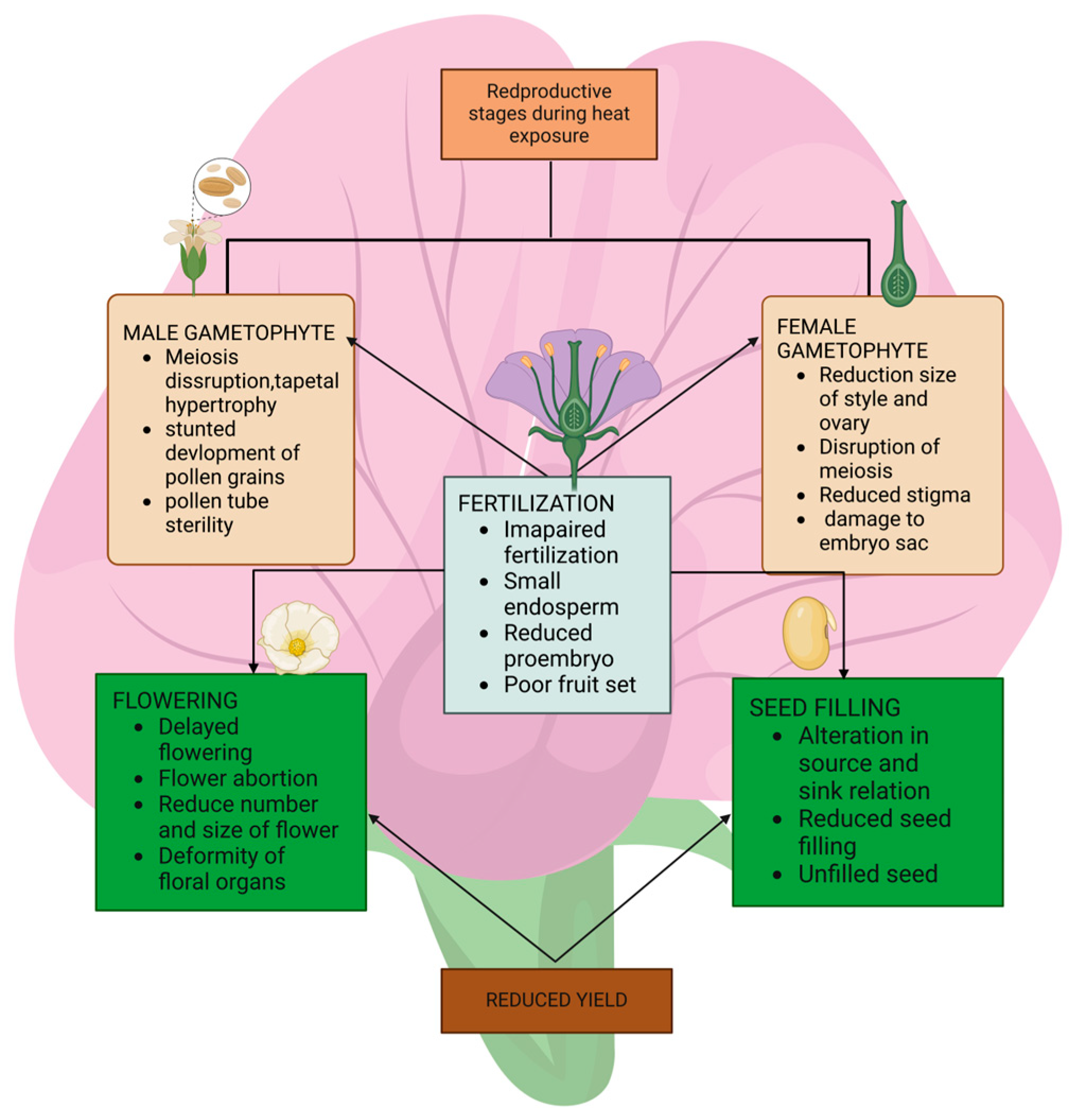 Sustainability 16 06026 g002