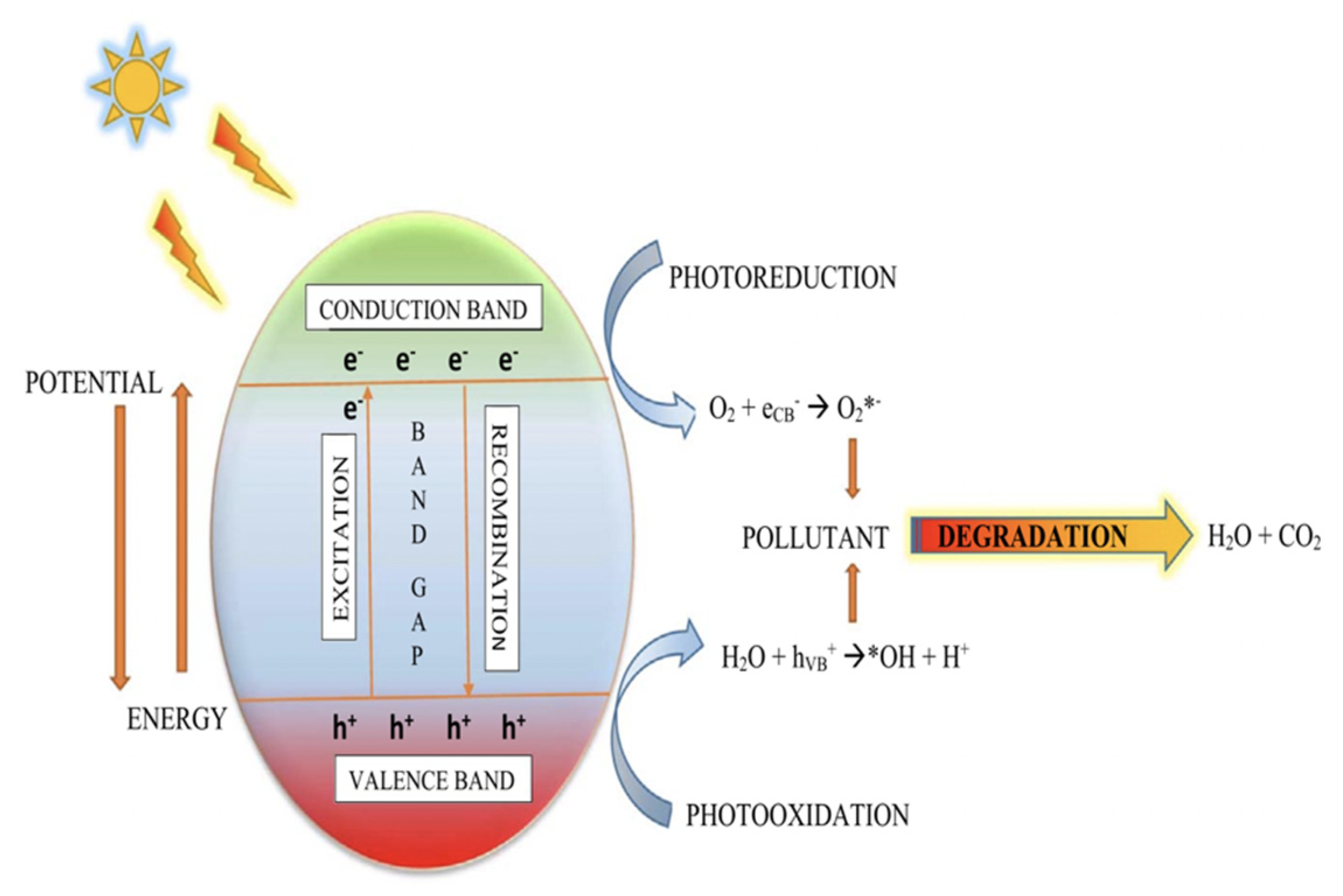 Sustainability 16 06056 g001