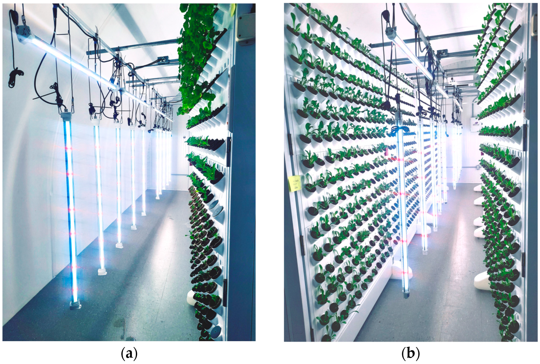 Sustainability 16 06120 g004a