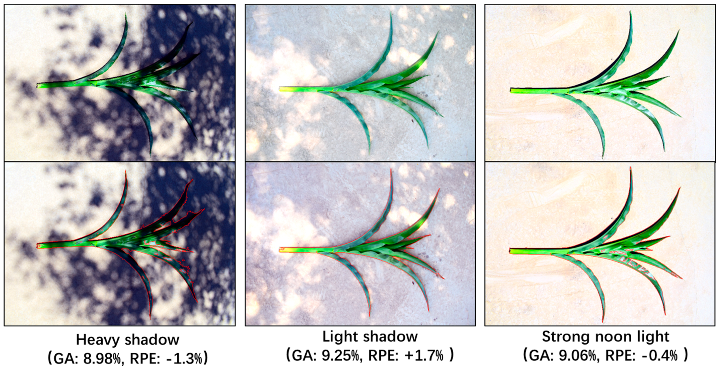 Sustainability 16 06129 g004