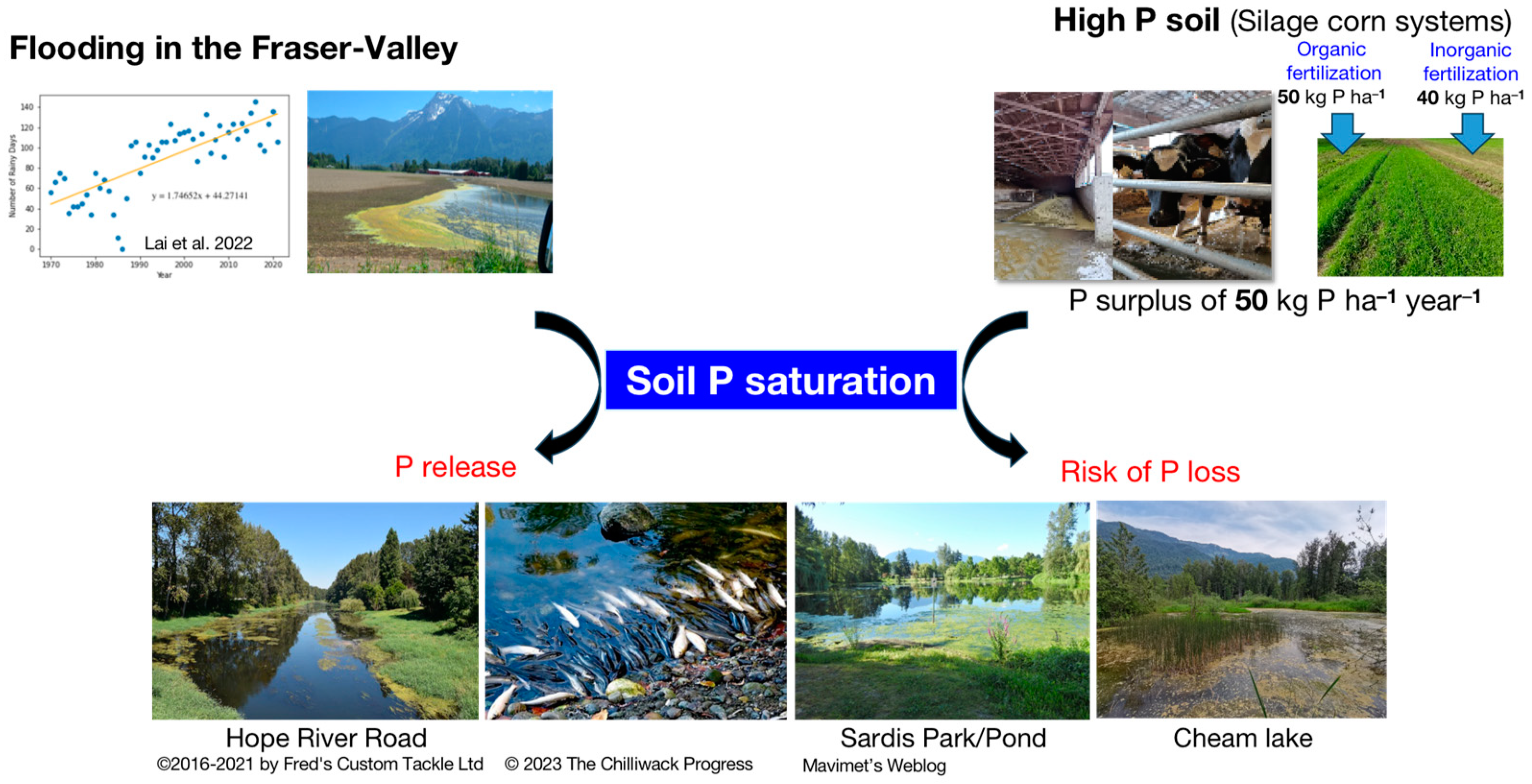 Sustainability 16 06141 g001 Sustainability 16 06141 g001