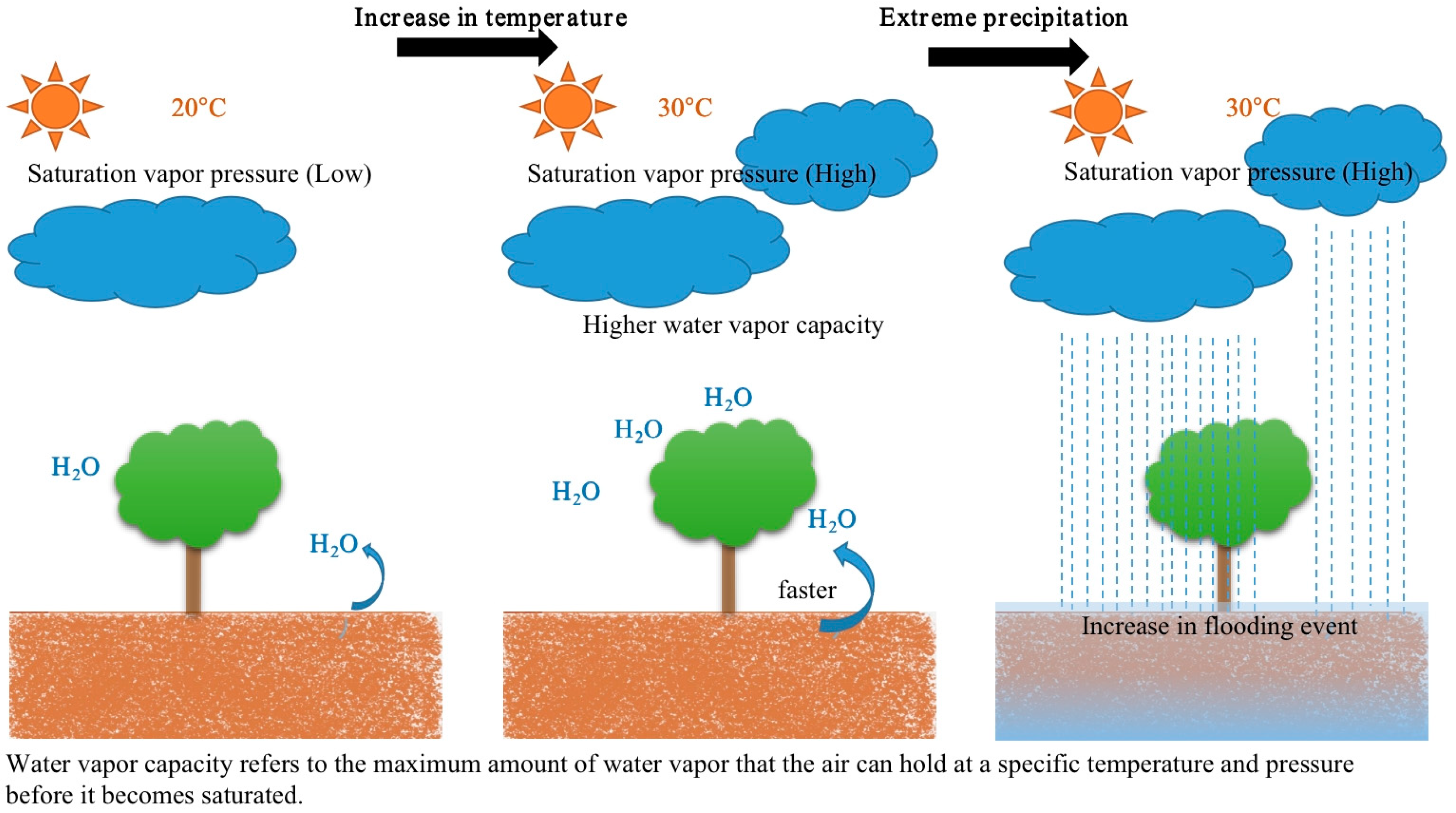 Sustainability 16 06141 g002 Sustainability 16 06141 g002
