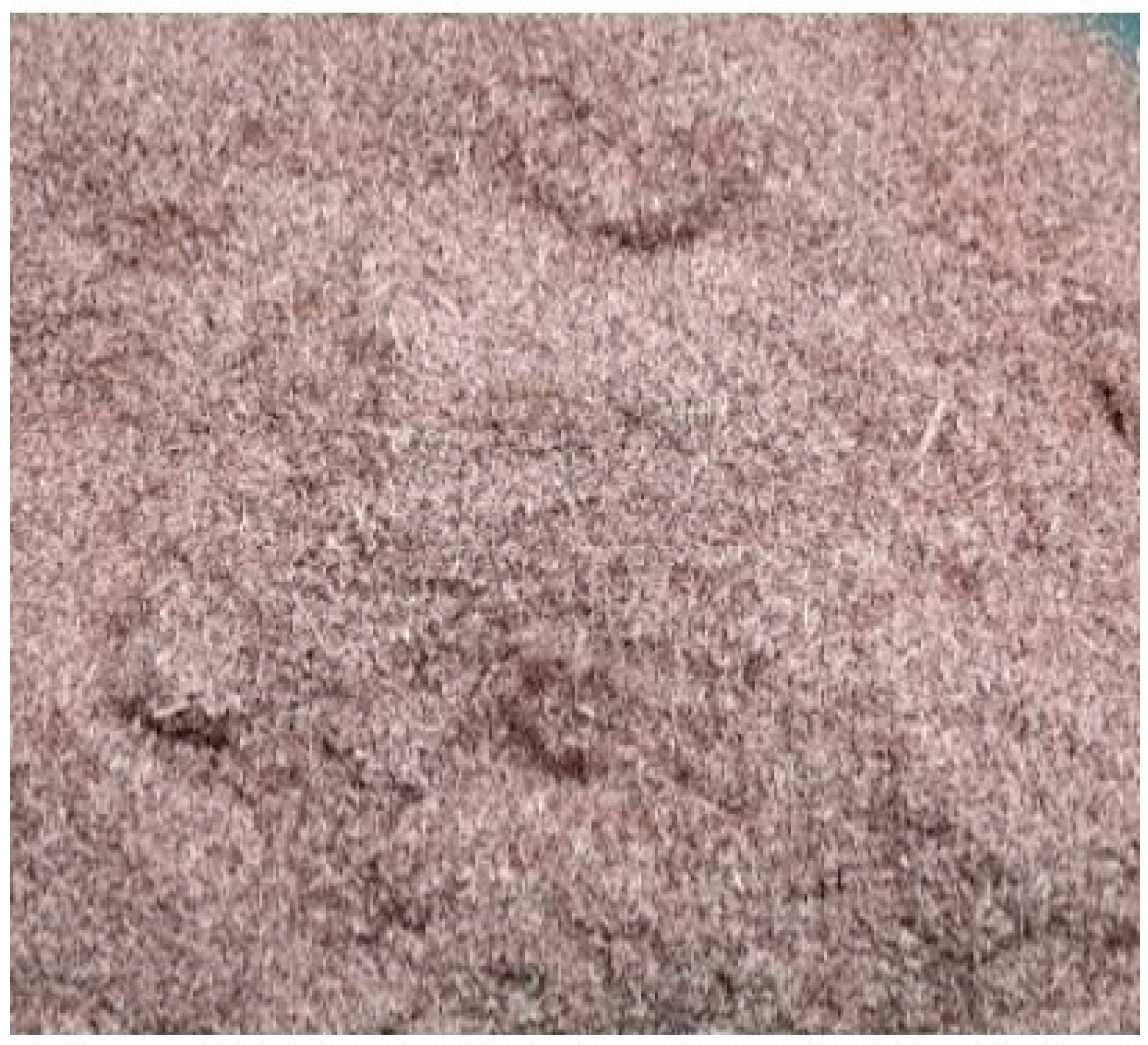 Sustainability 16 06142 g001