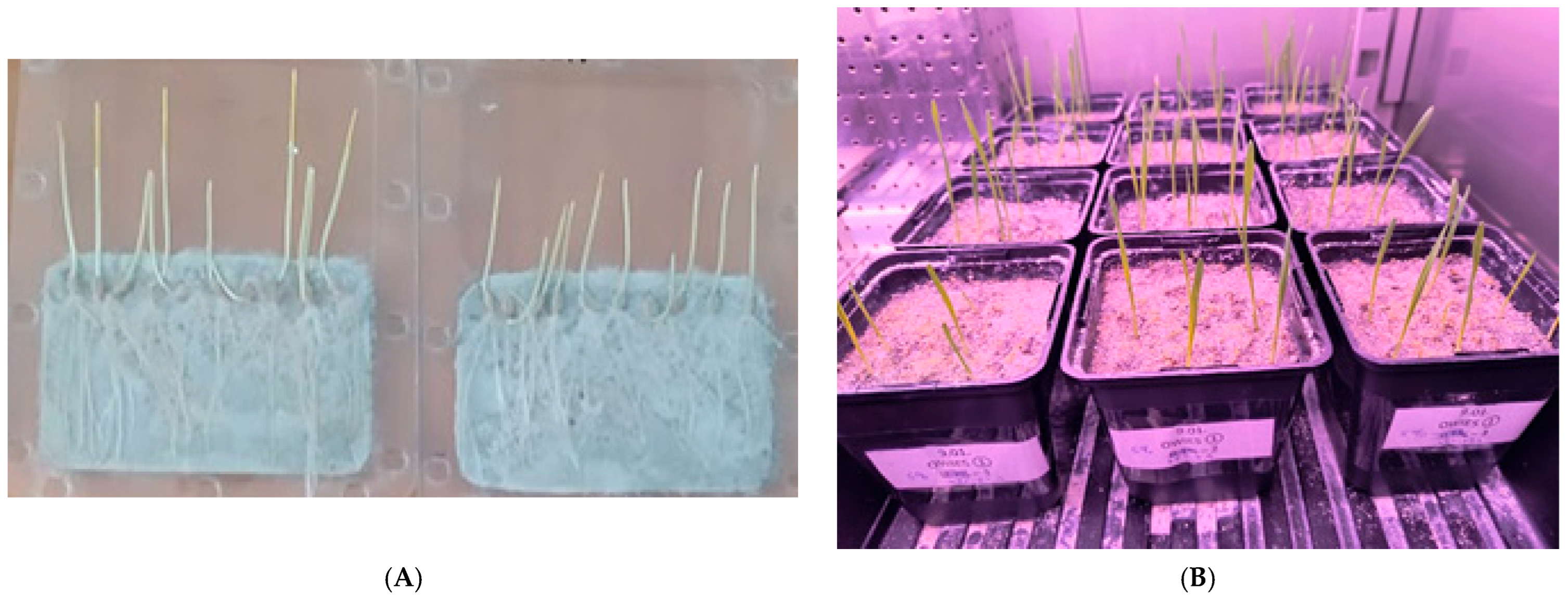 Sustainability 16 06171 g002