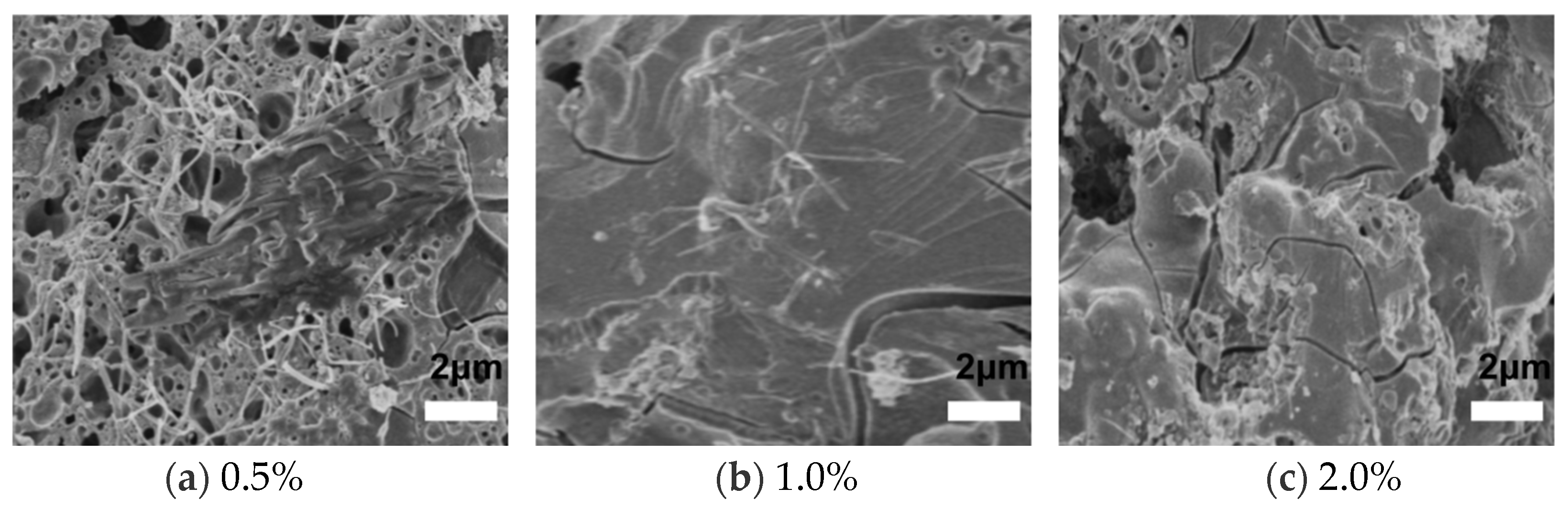 Sustainability 16 06255 g013